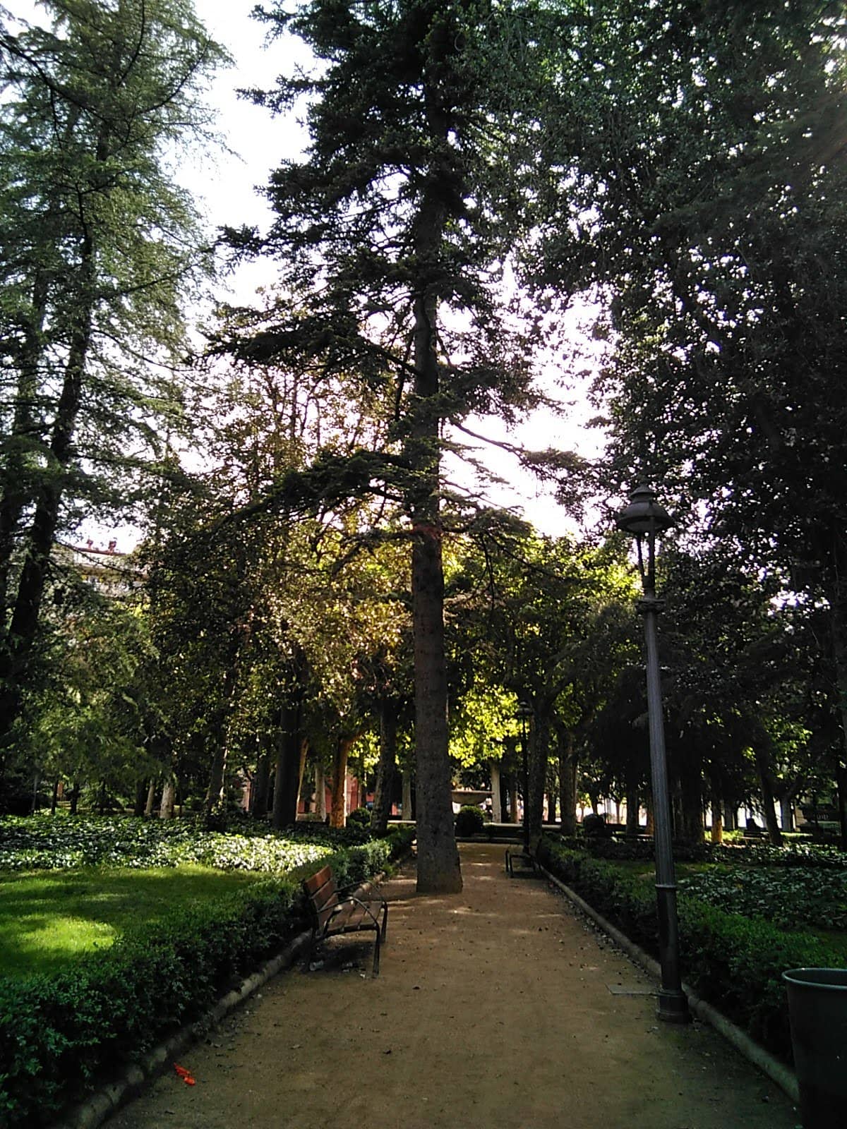 Inclusive Employment Kiosk