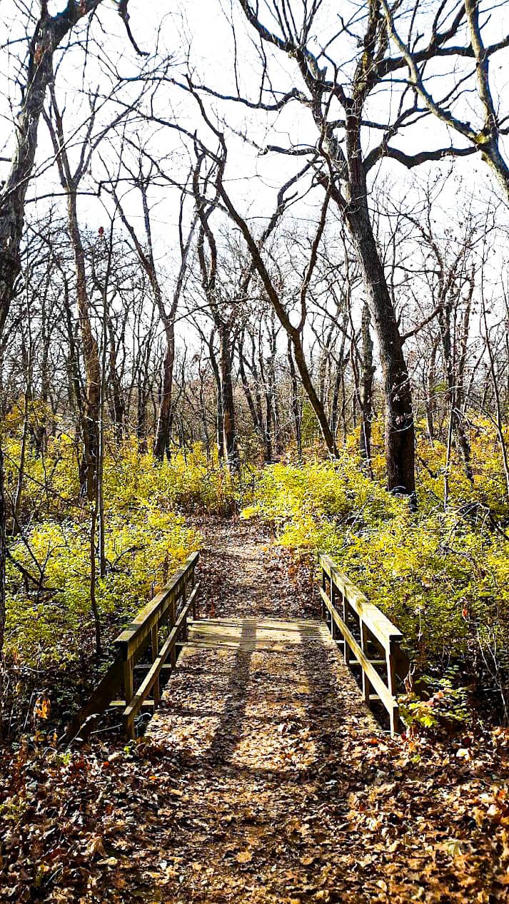 Scenic Walking Paths