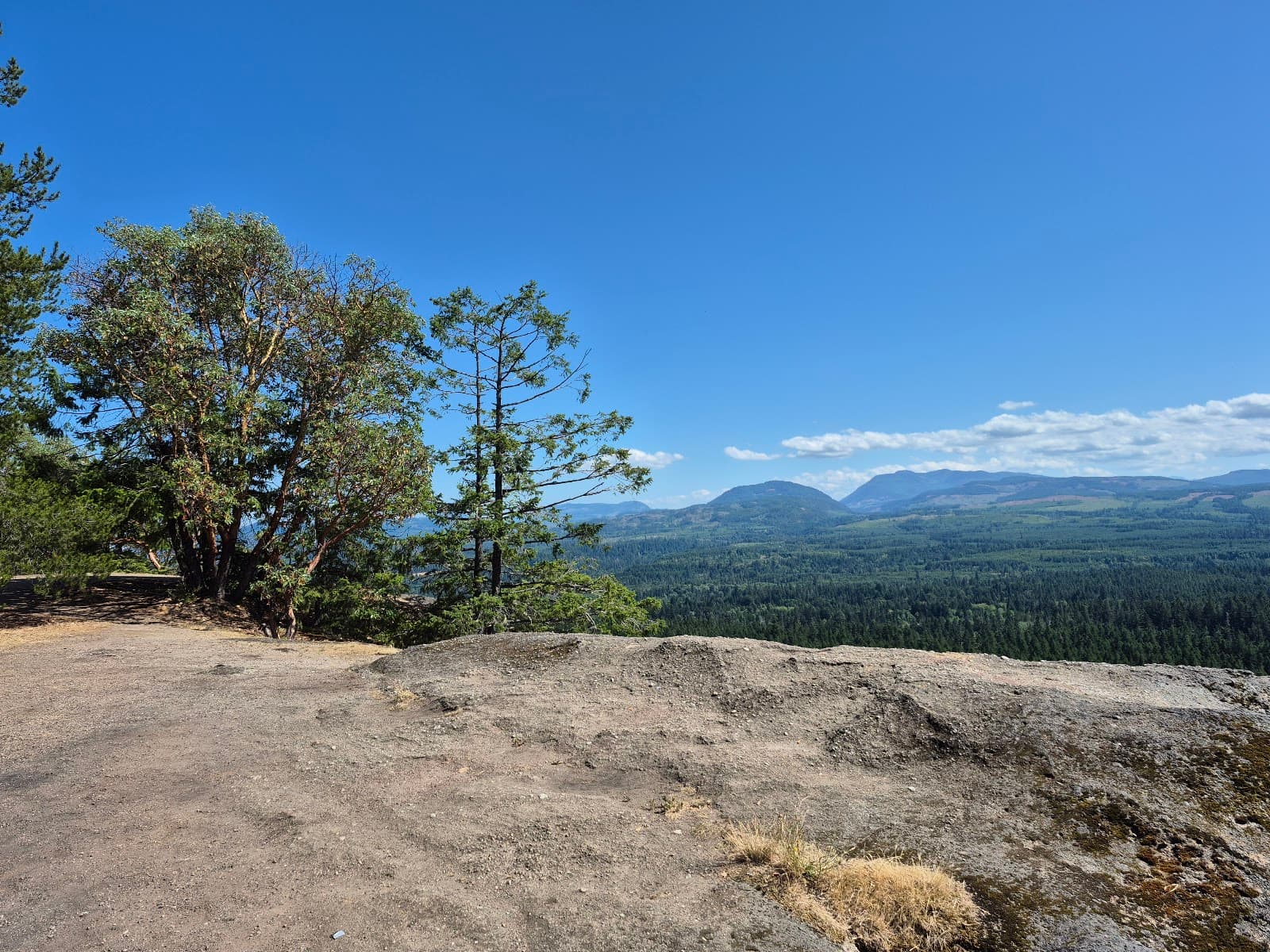 Little Mountain Lookout - Image 1