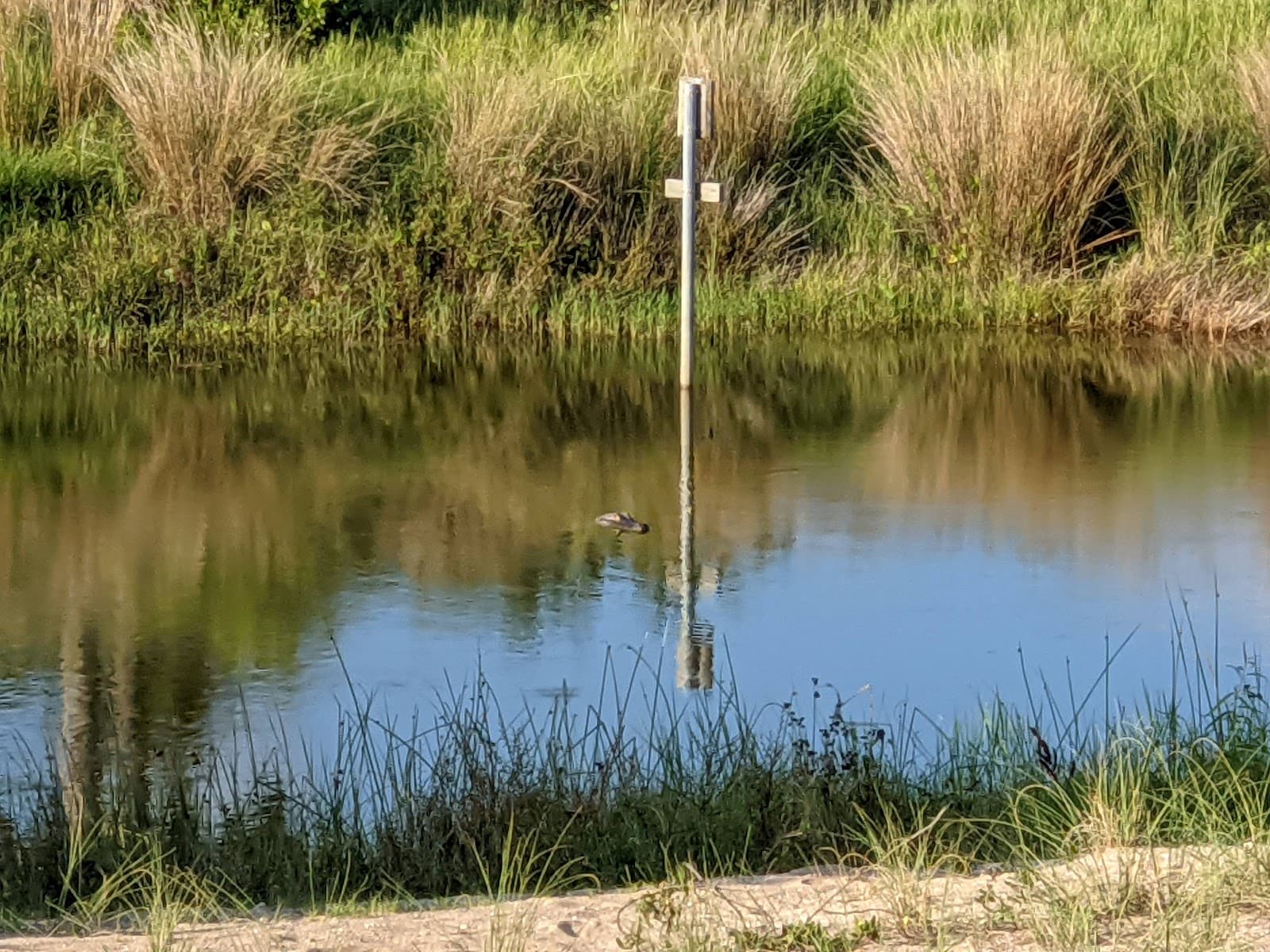 Bald Head Island - Image 1