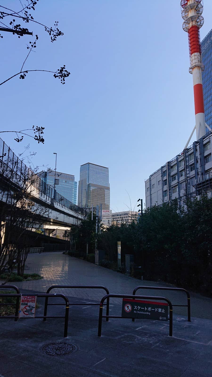 Vertical photo