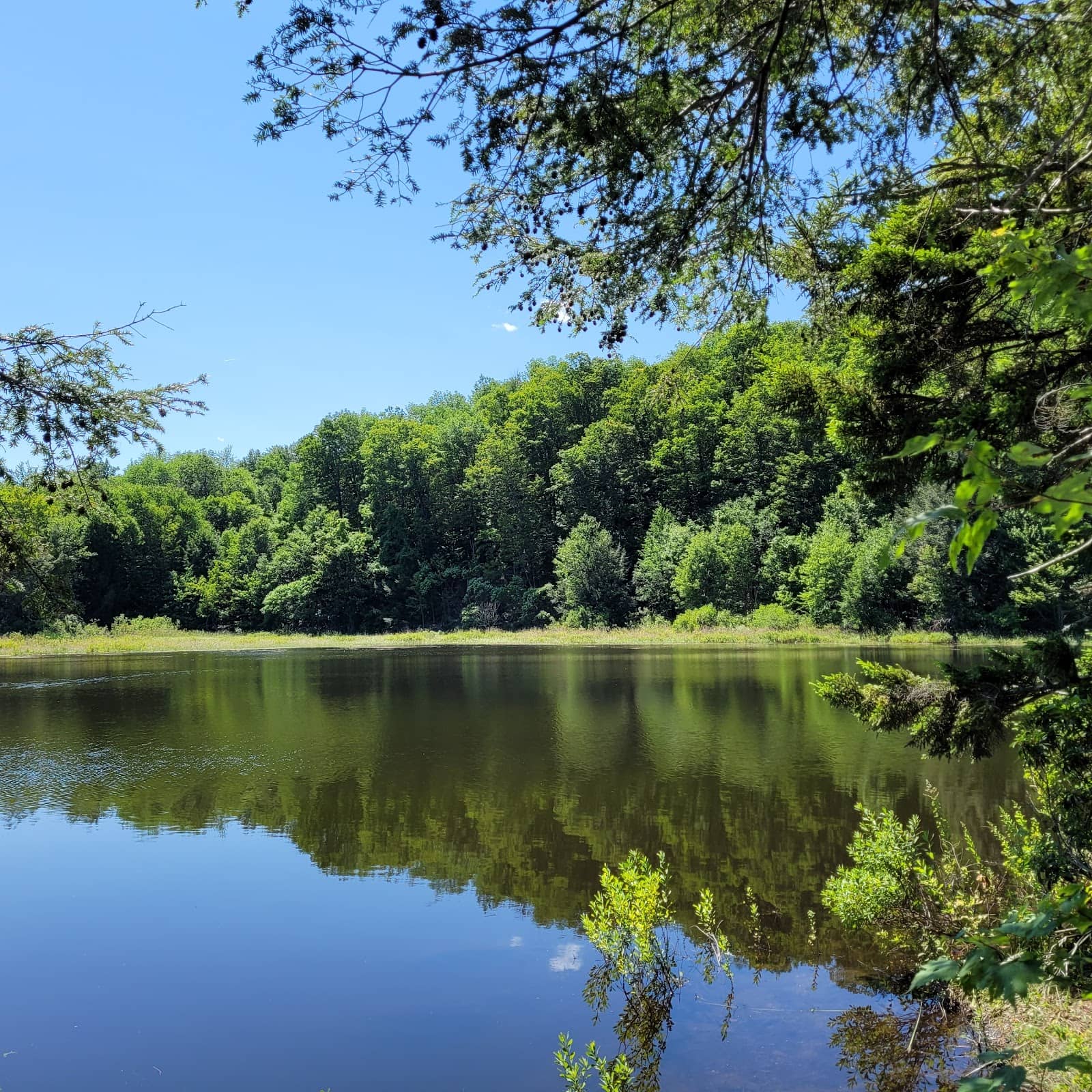 North-South Trail