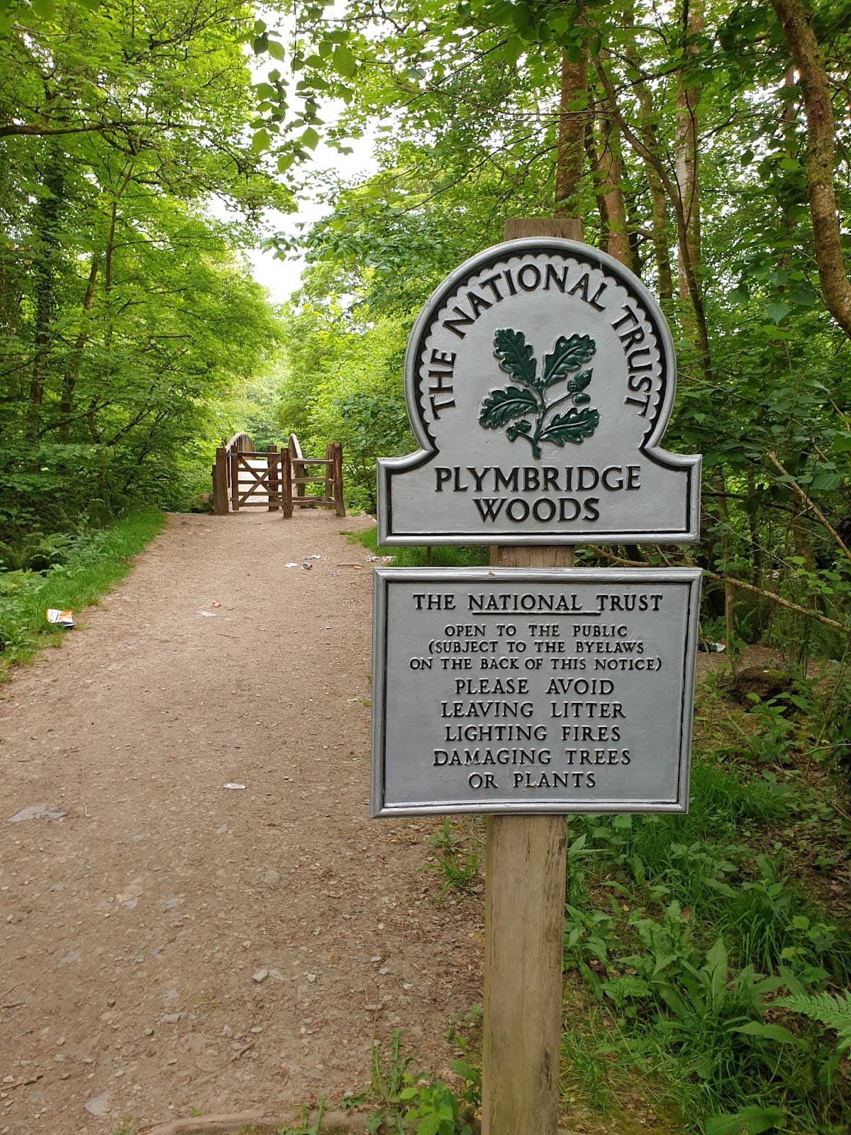 Plymbridge Woods - Image 1