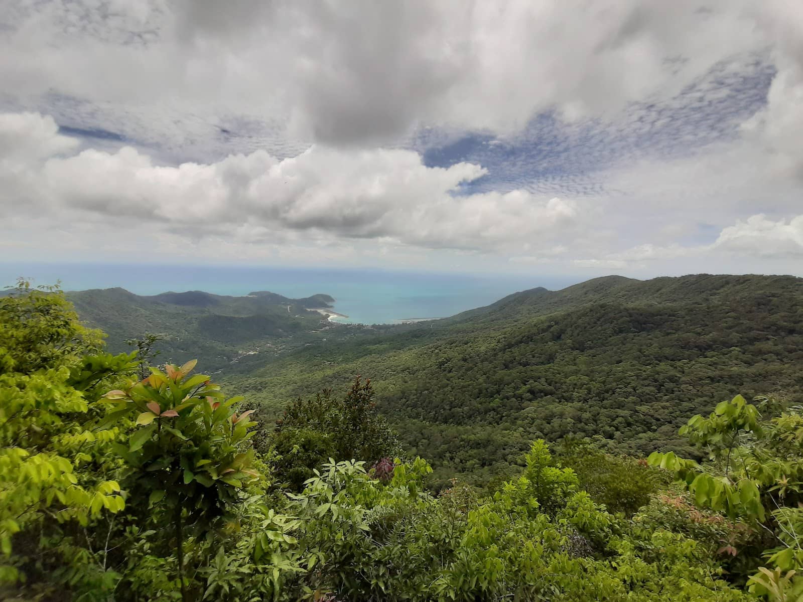 Jungle Hiking Trails