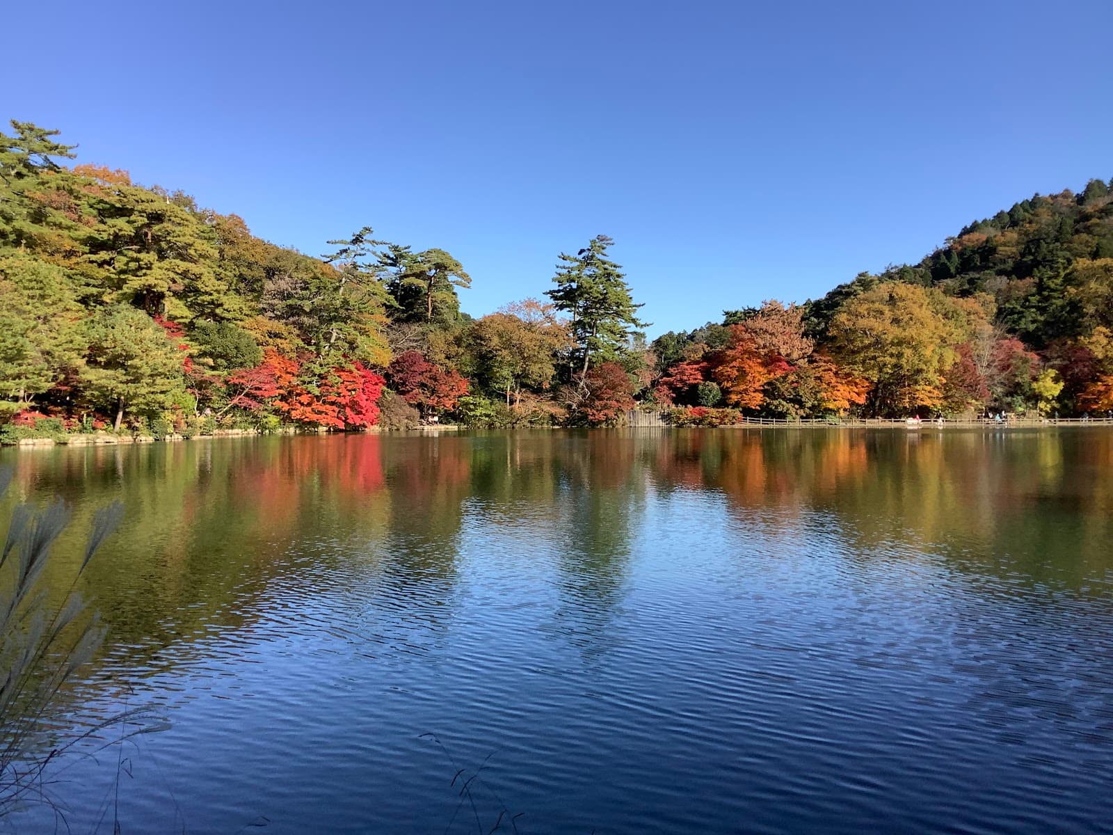 Futatabi Park - Image 1