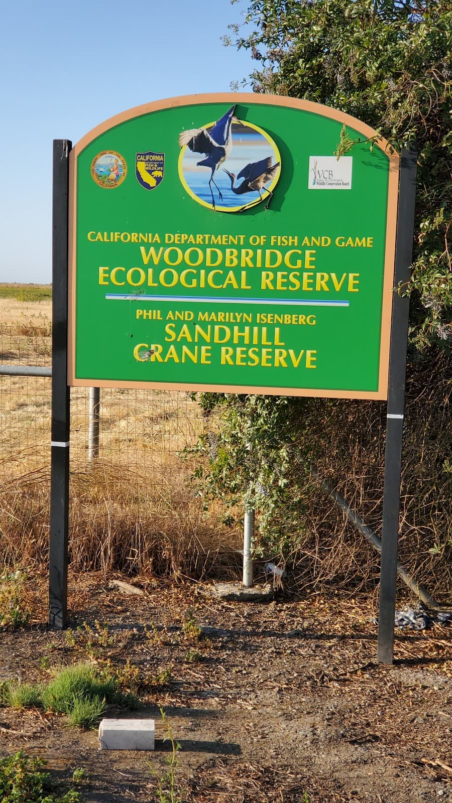 Woodbridge Ecological Reserve (Isenberg Crane Reserve) - Image 1