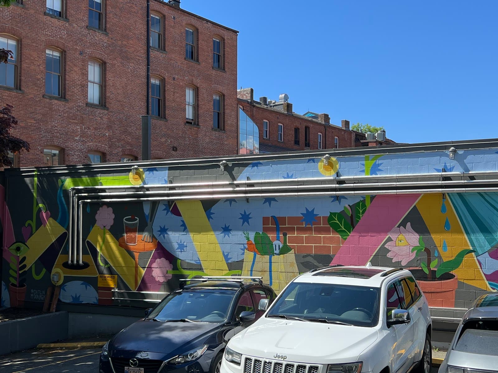 Downtown Murals Rock Bay & LoJo - Image 1