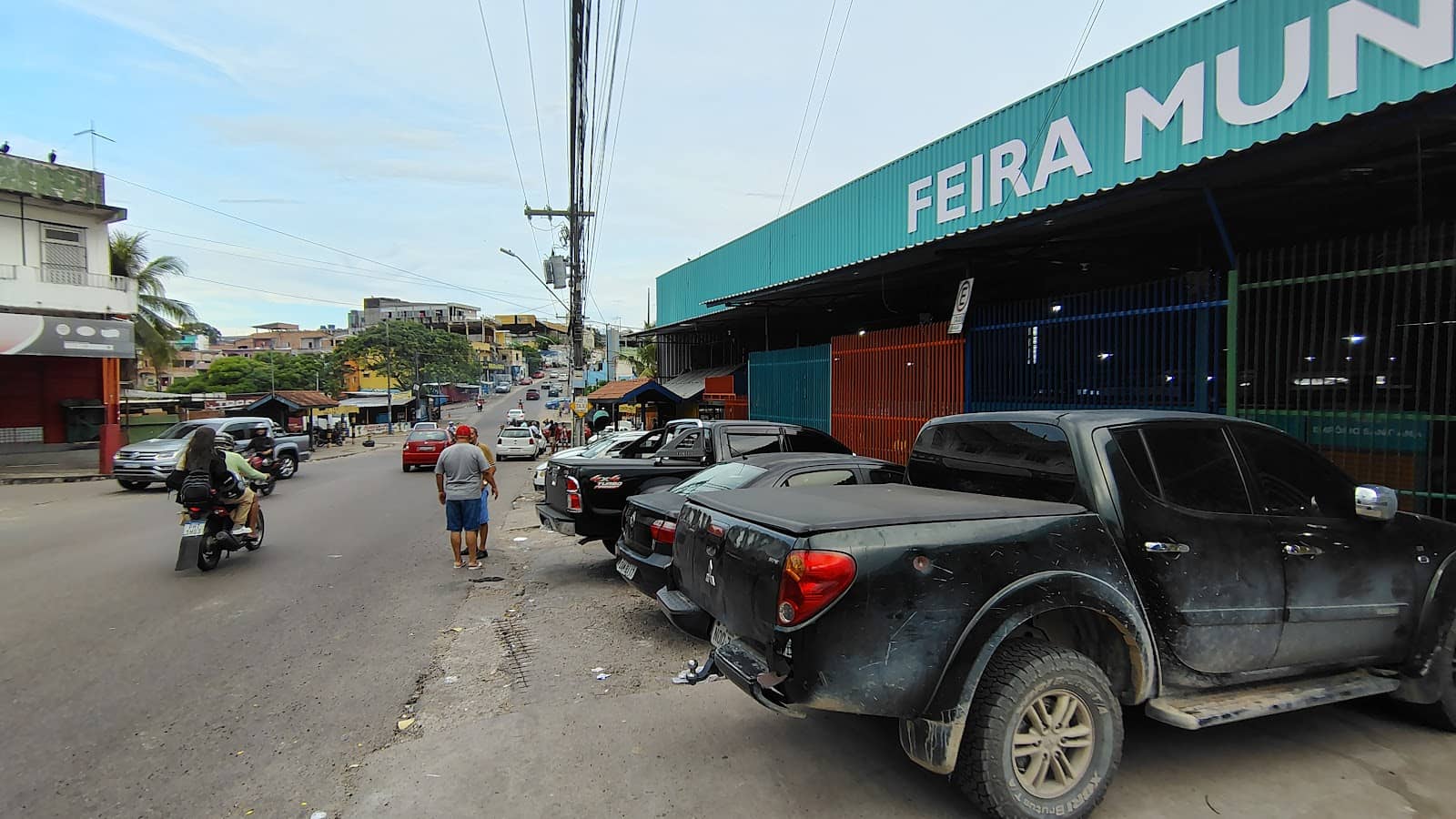 Unique Amazonian Fish