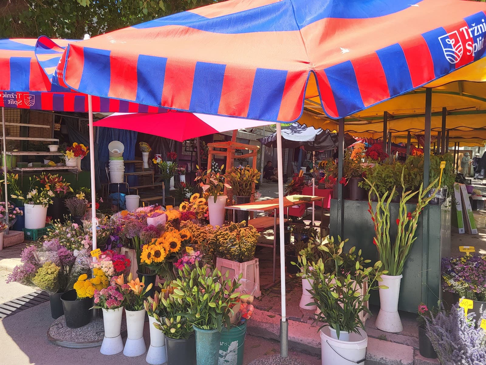 Gruž Market - Image 1
