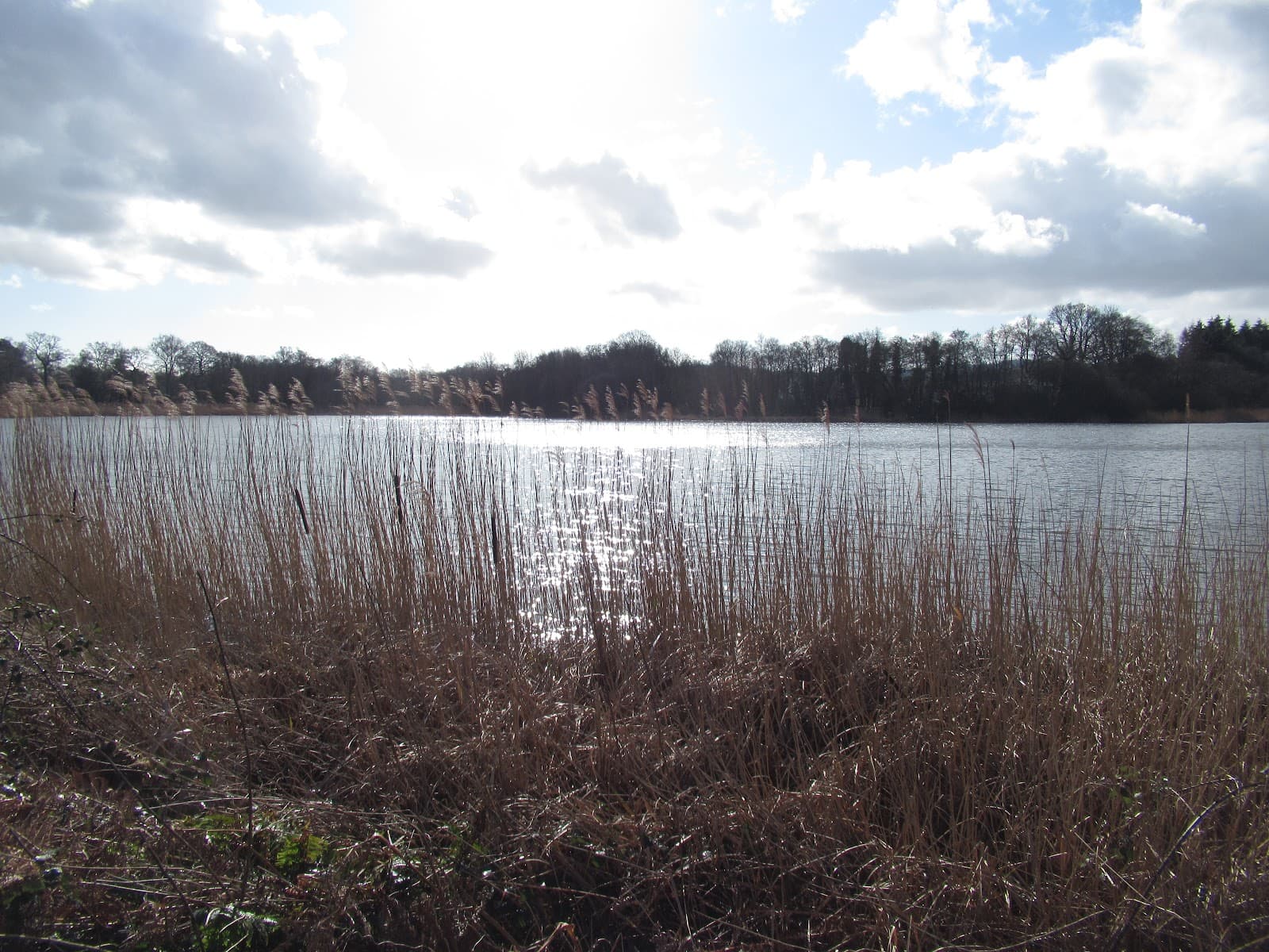Burton Mill Pond - Image 1