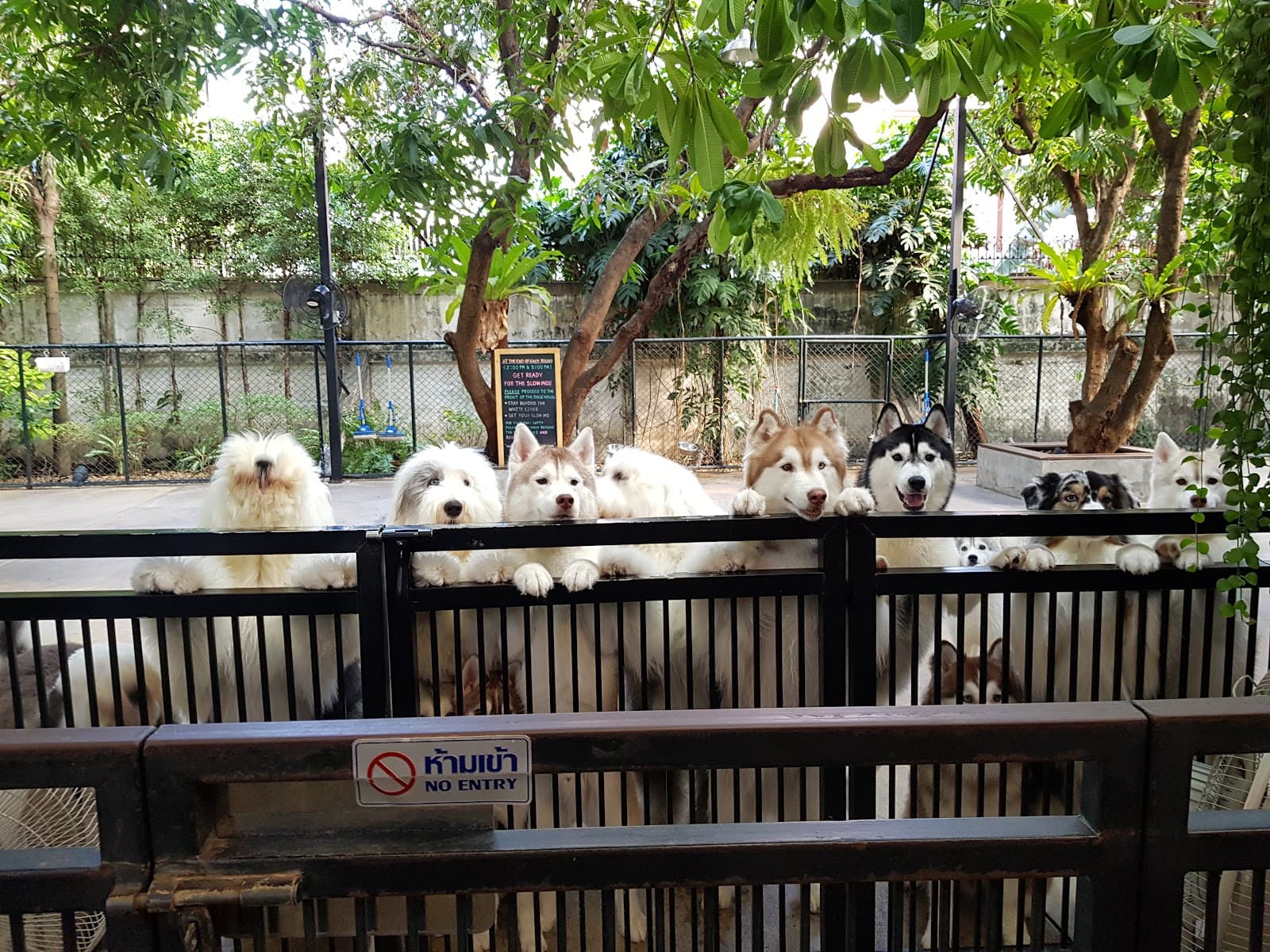 Truelove Husky Cafe - Image 1