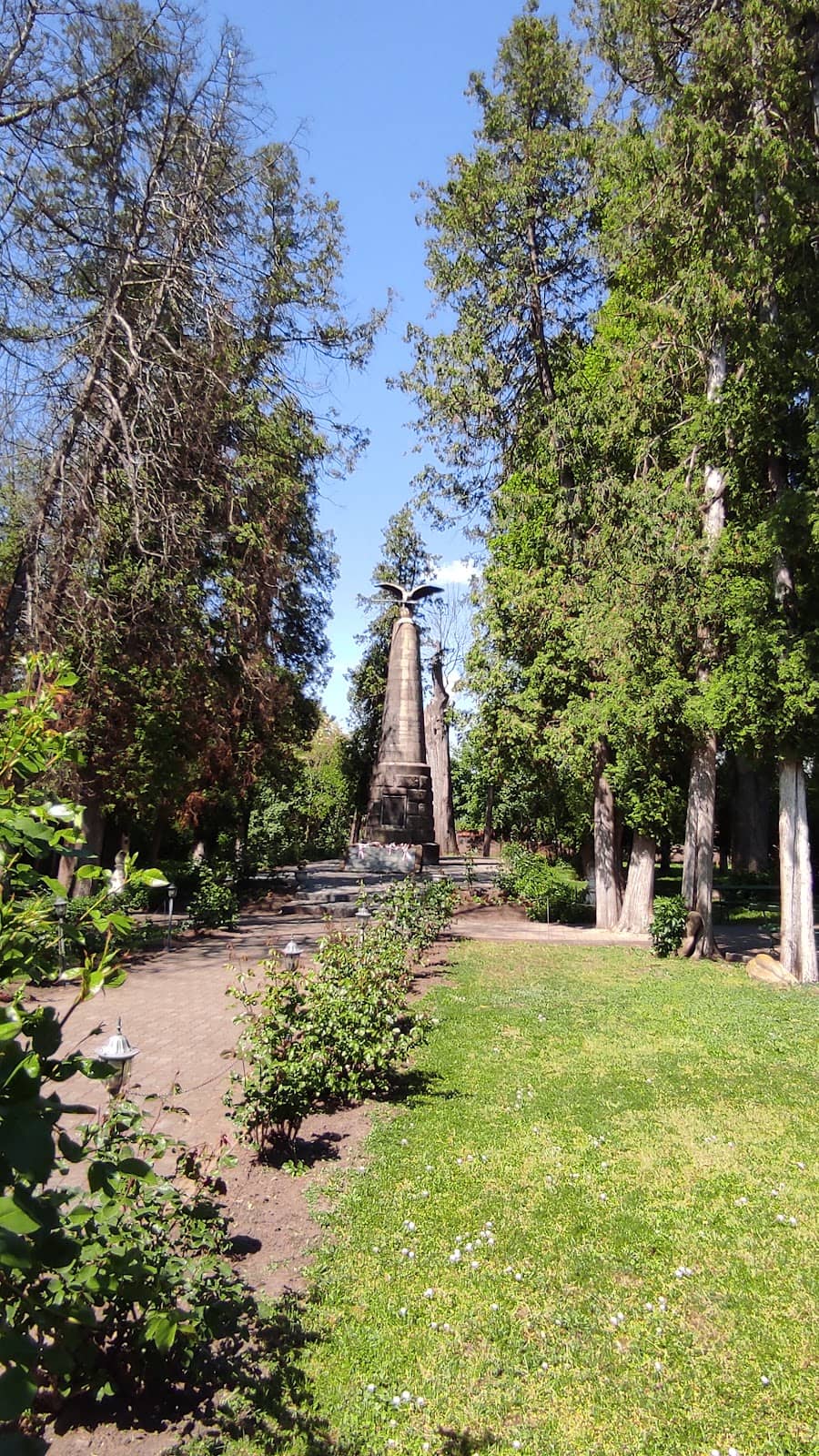 Vertical photo
