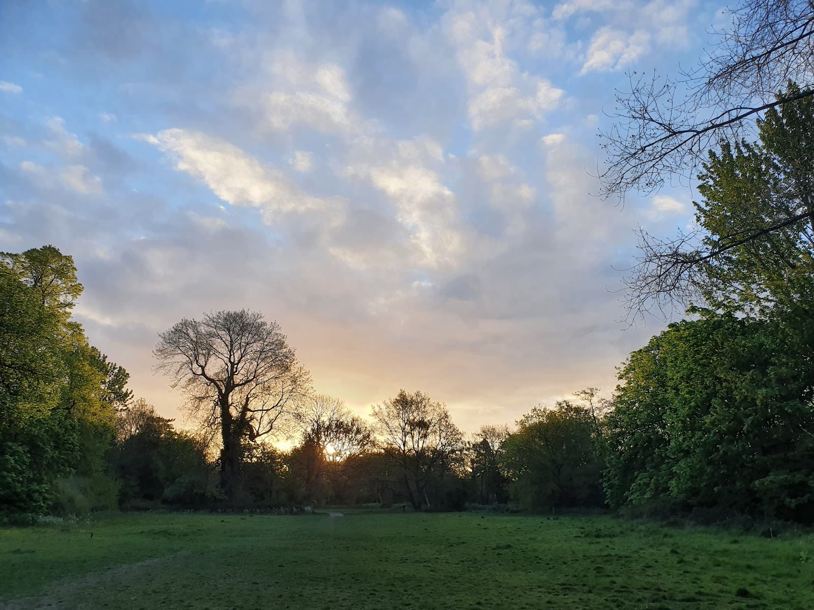 Long Meadow (Eastcote) - Image 1