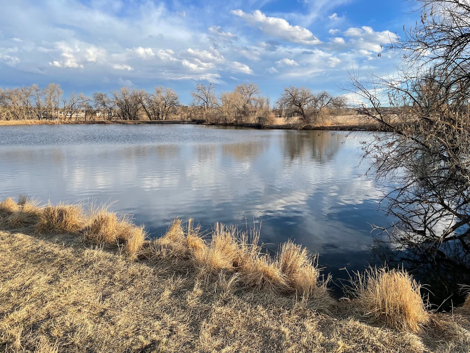 Metzger Farm Open Space - Image 1