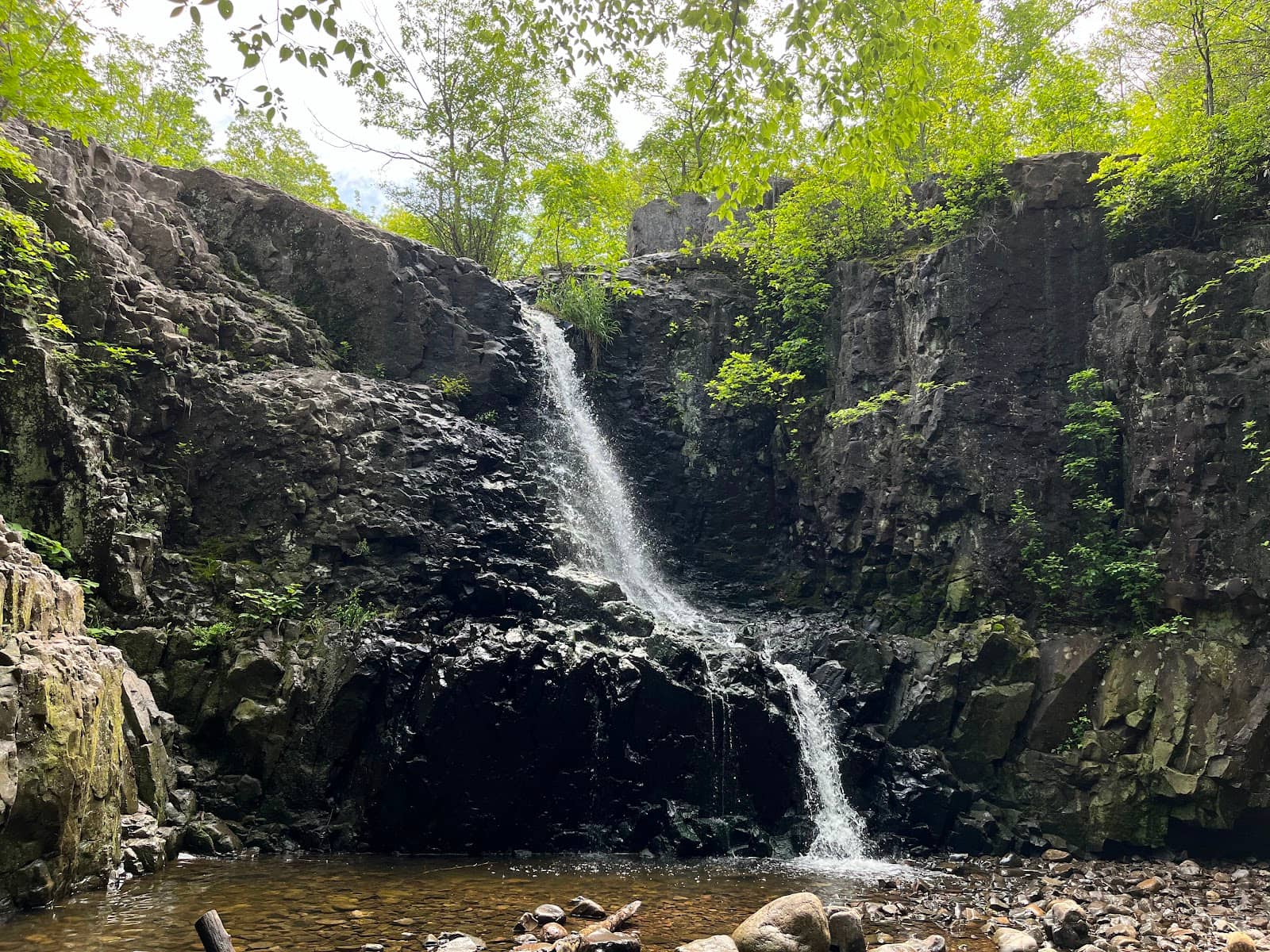 Scenic Creek-Side Hike