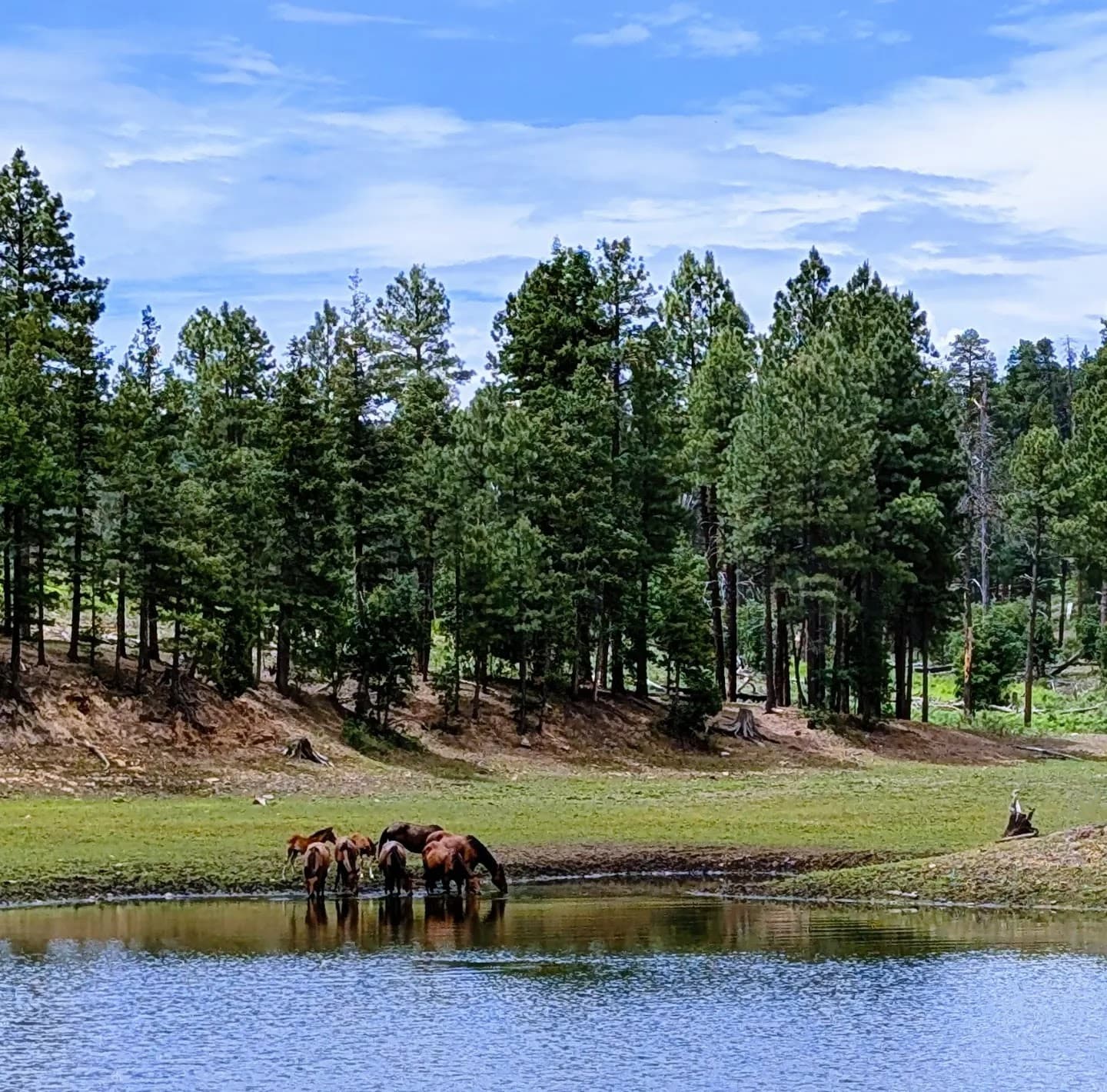 Black Canyon Lake - Image 1