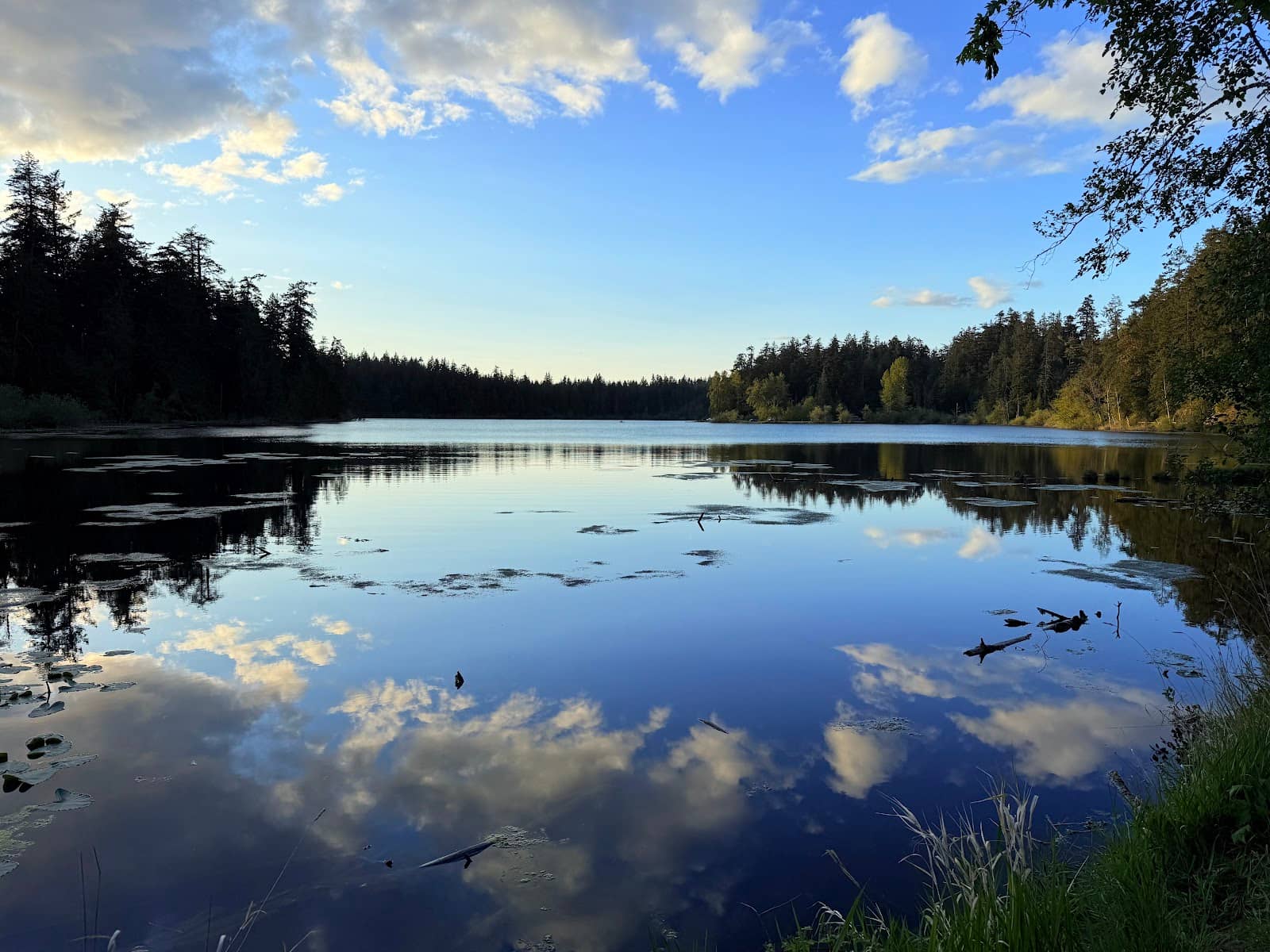 Abundant Wildlife & Flora