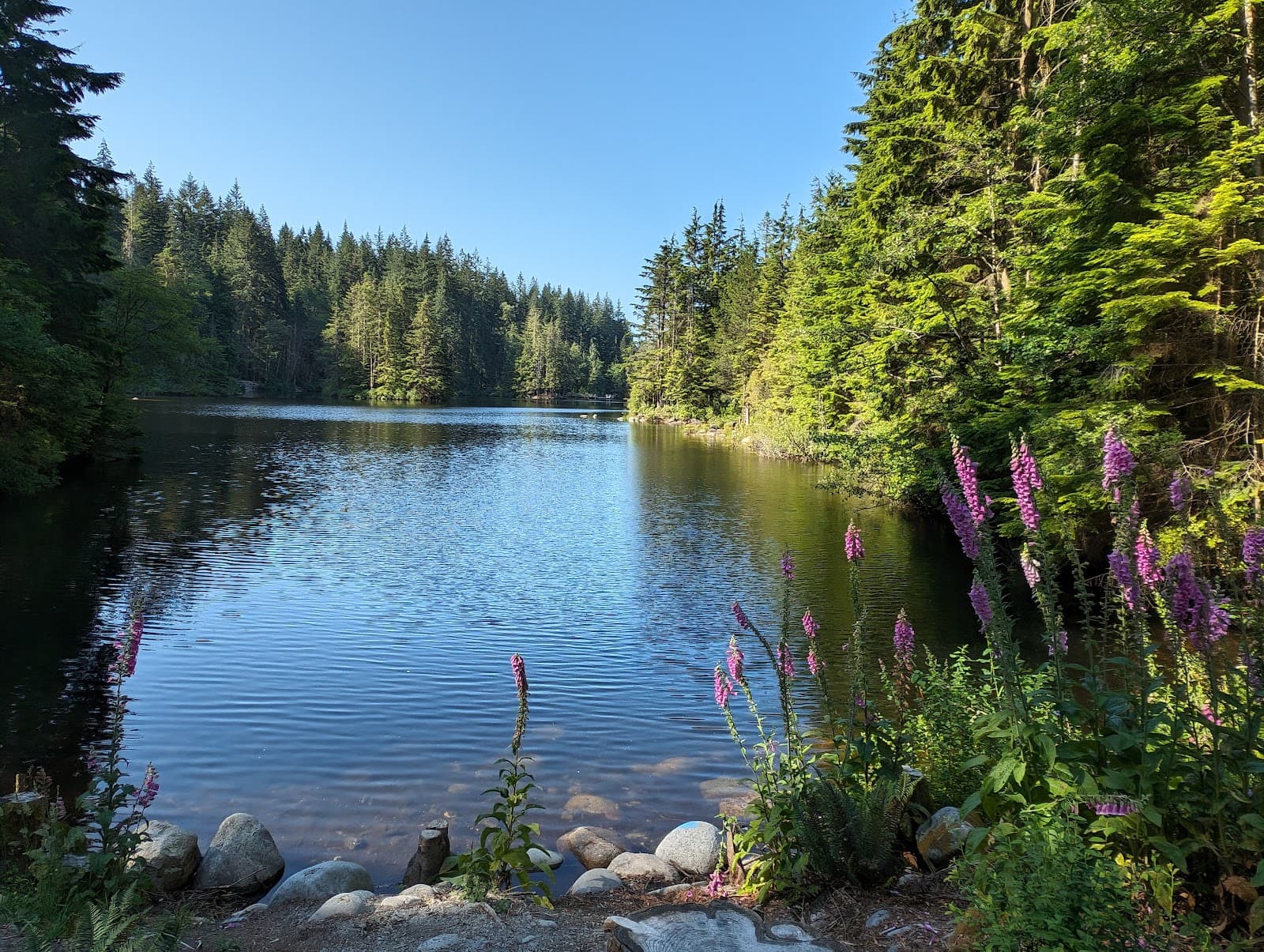 Rice Lake - Image 1