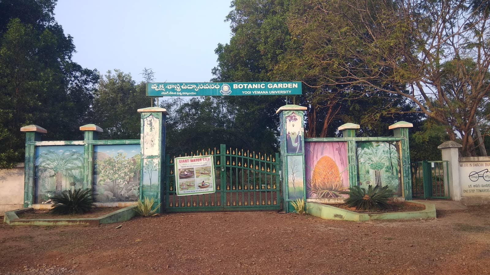Lotus Pond