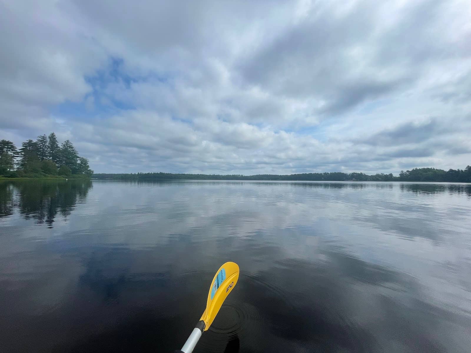 Fishing Opportunities