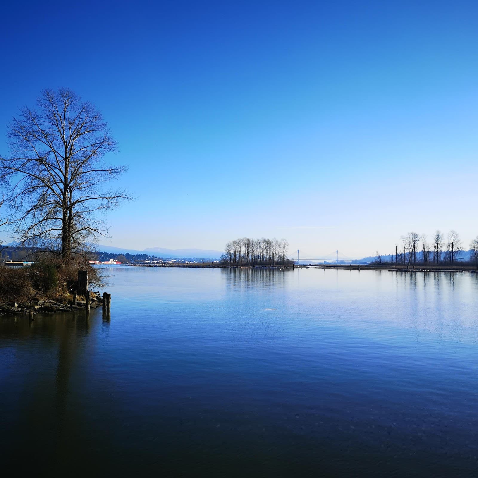 Sapperton Landing Park - Image 1