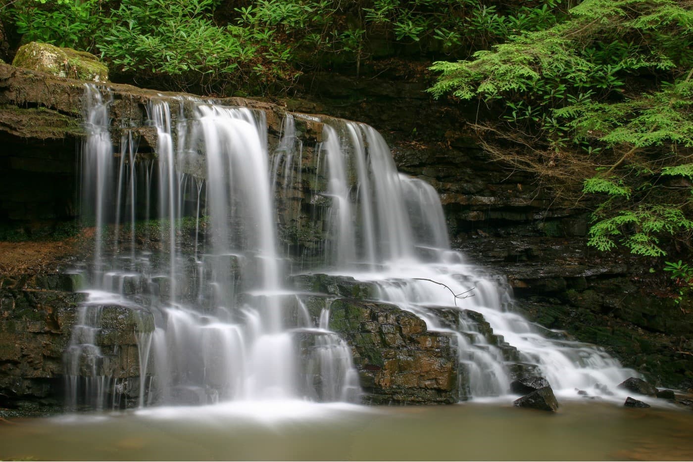 Laurel Run Park - Image 1