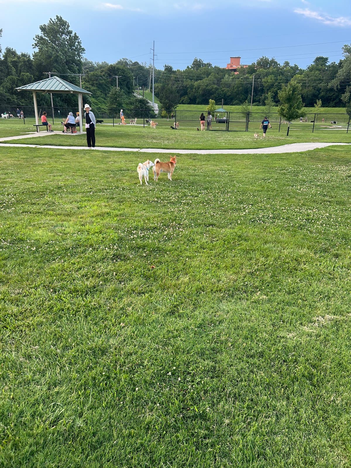 Waggin' Trail Dog Park - Image 1