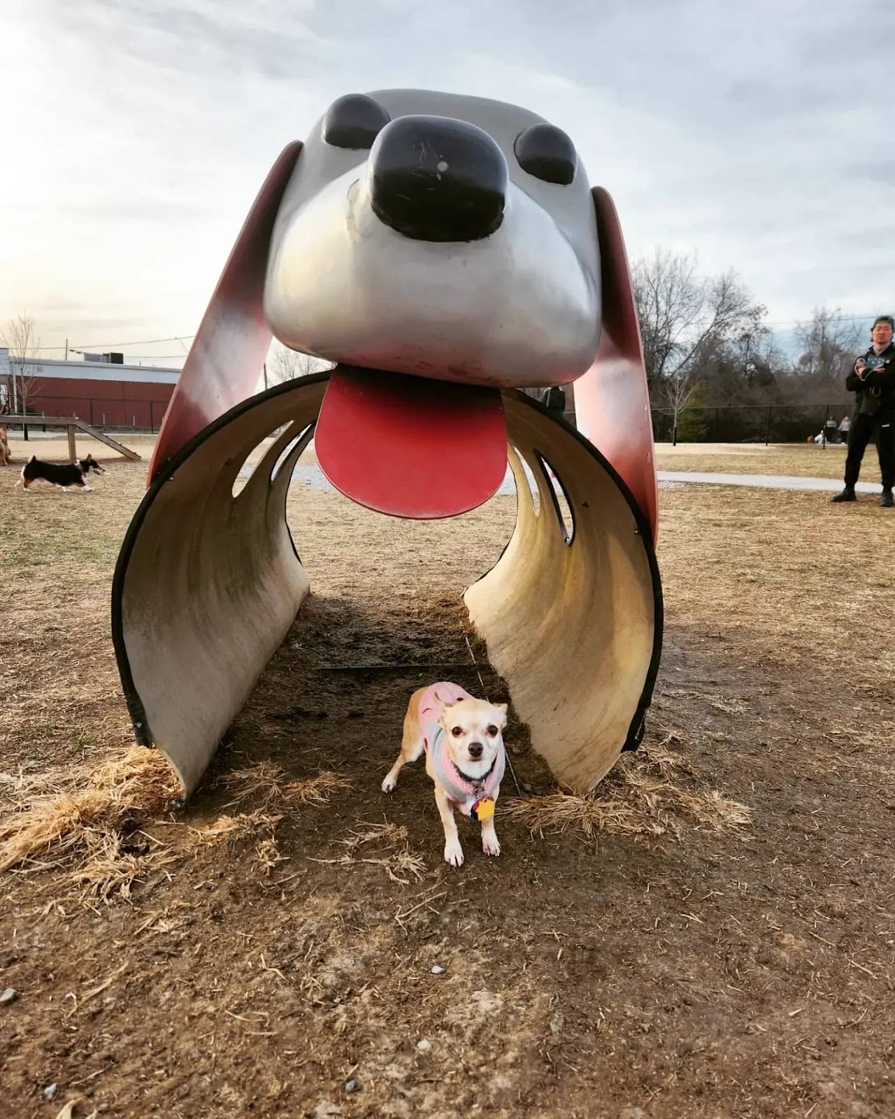 Vertical photo