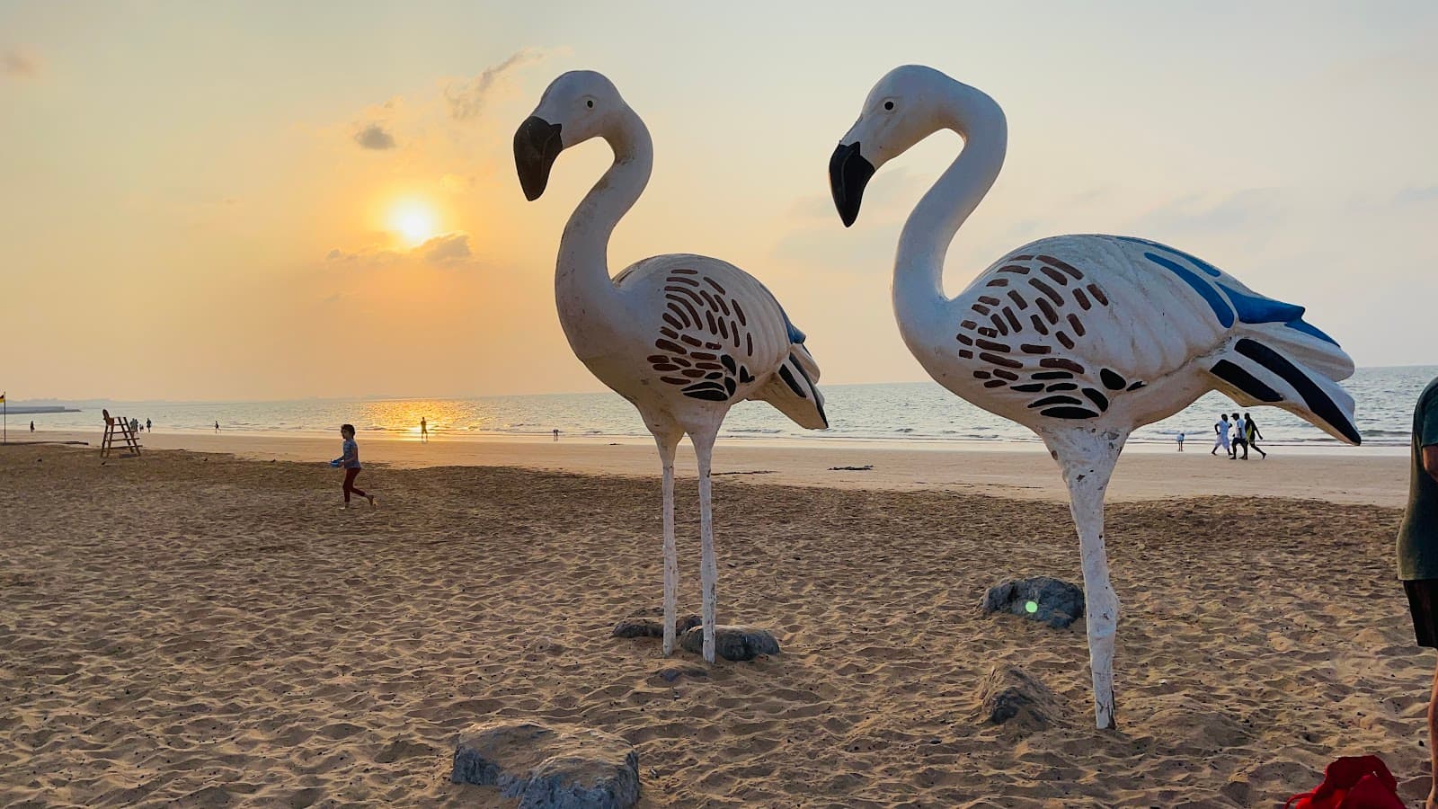 Flamingo Beach - Image 1