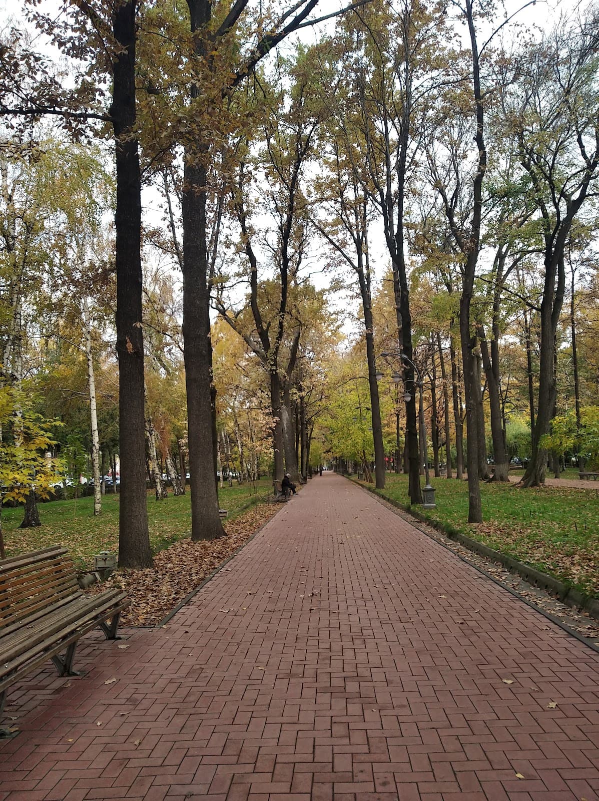 Erkindik Boulevard Bishkek - Image 1