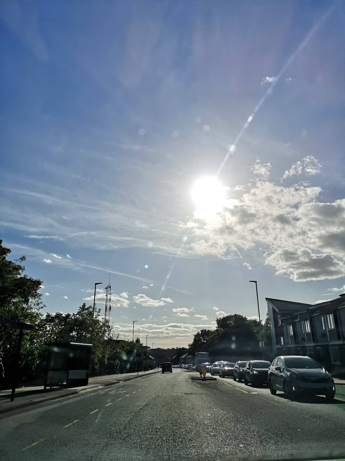 Vertical photo