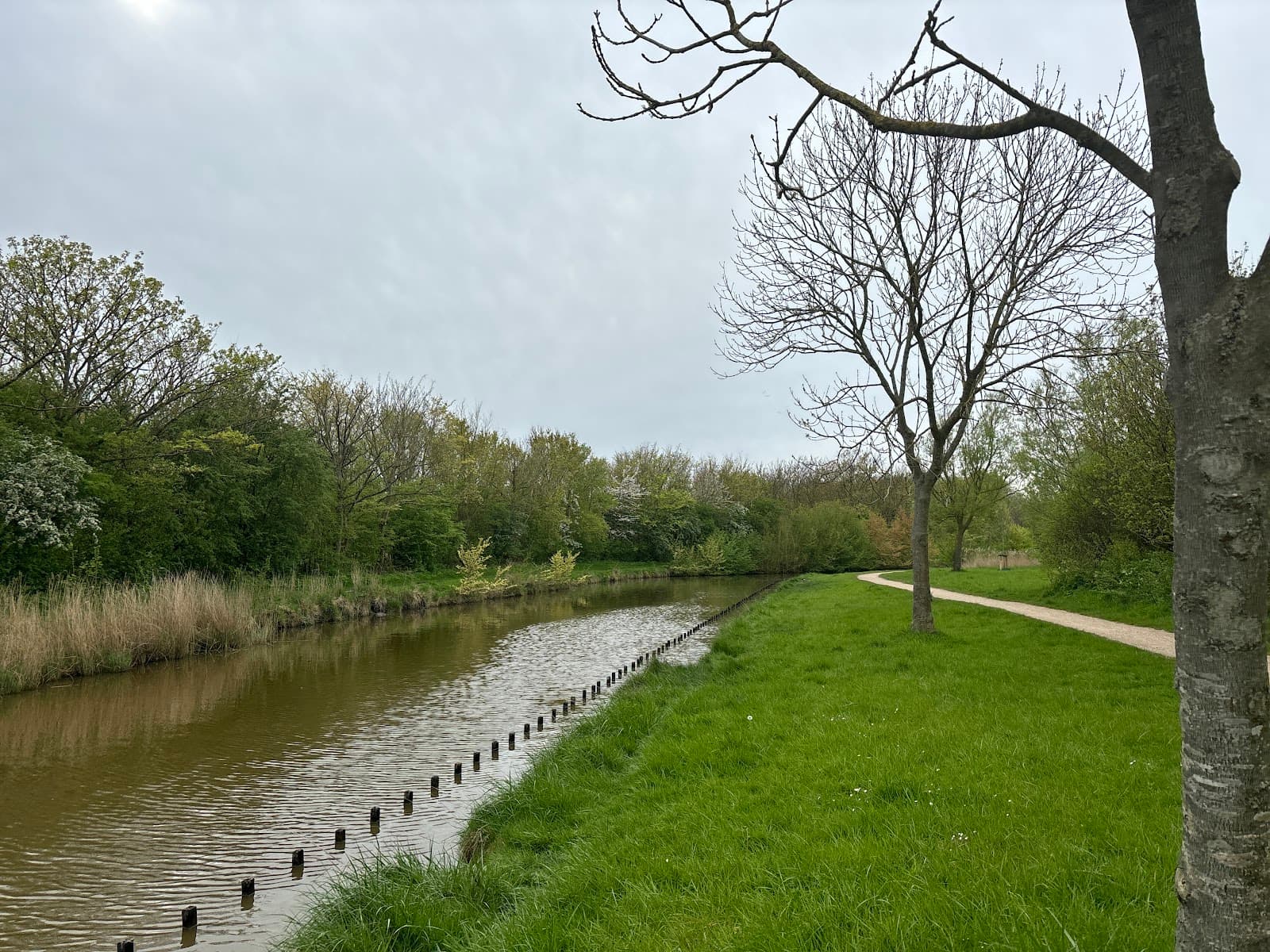 Nollebos & Westduinpark - Image 1