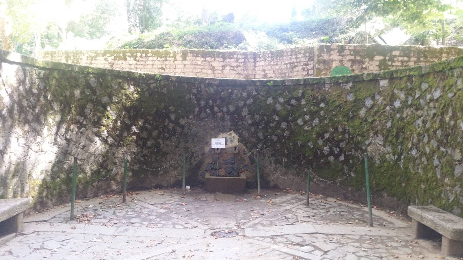 Evening Illumination