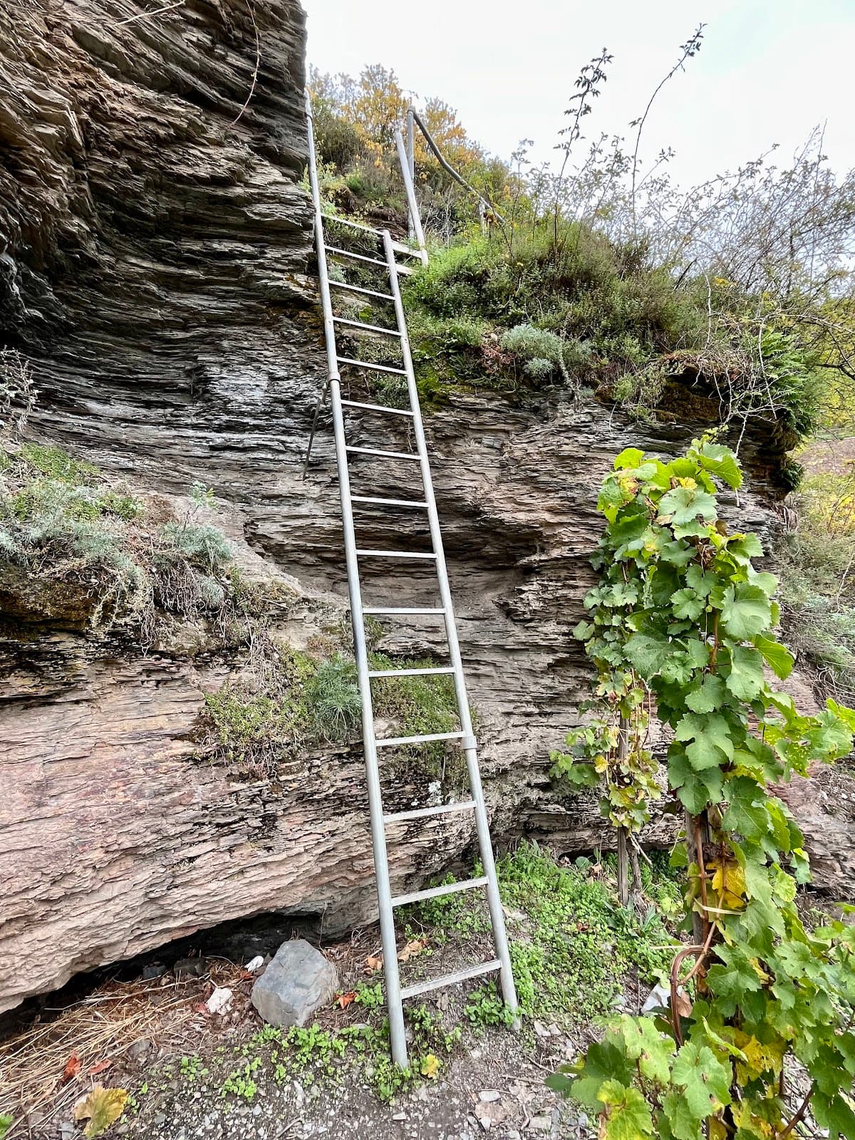 Doktorweinweg Theme Trail - Image 1