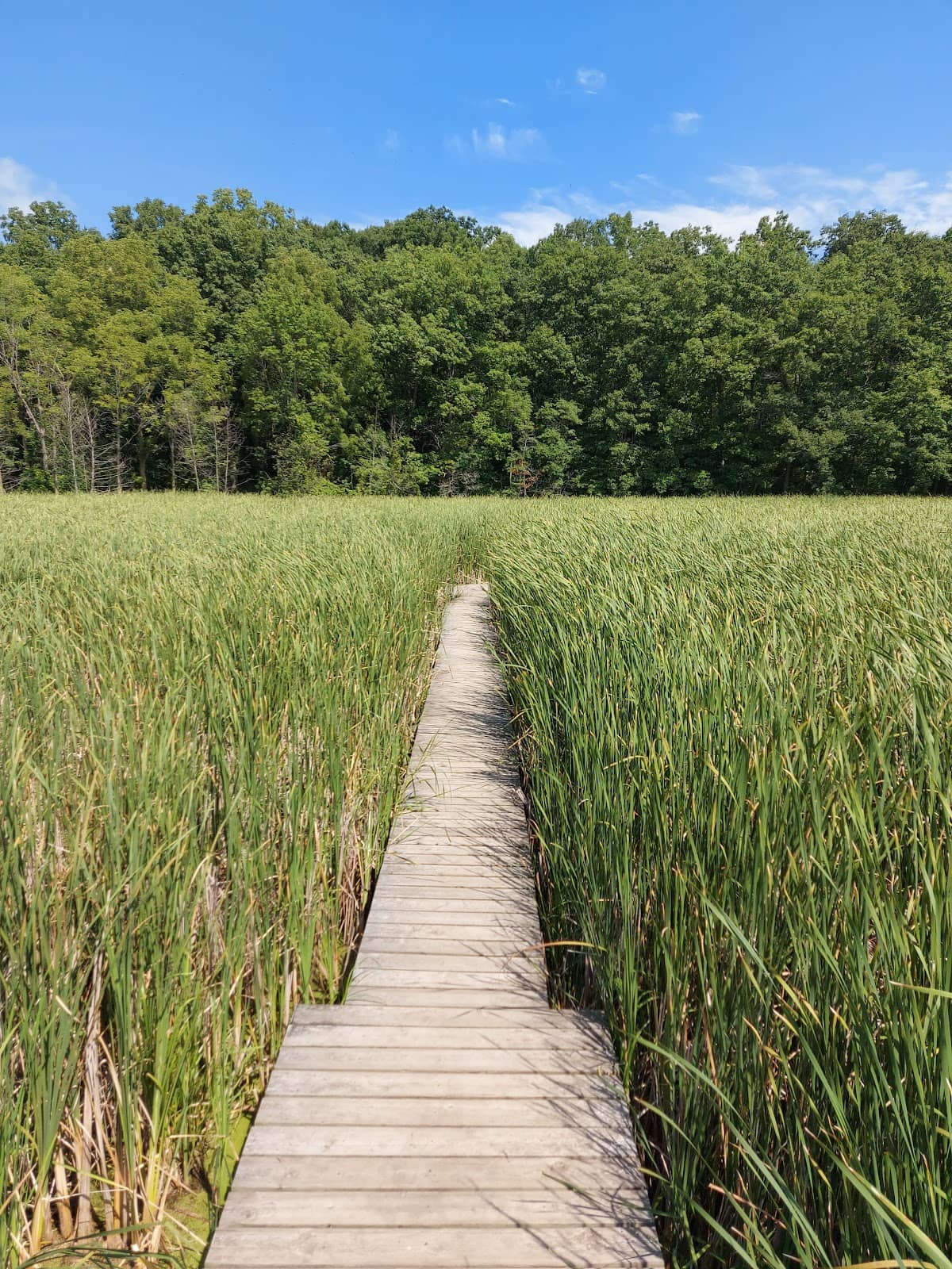 Niagara Escarpment Views