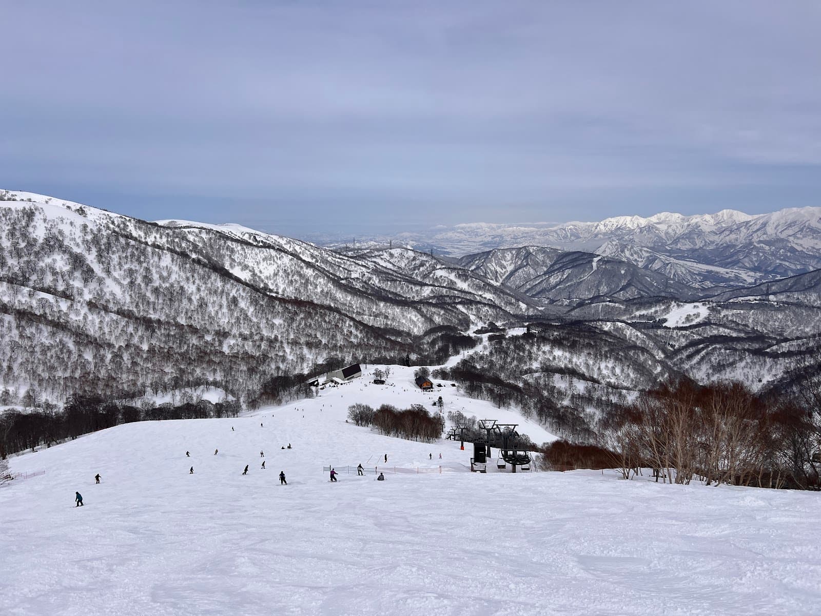 Tashiro - Image 1