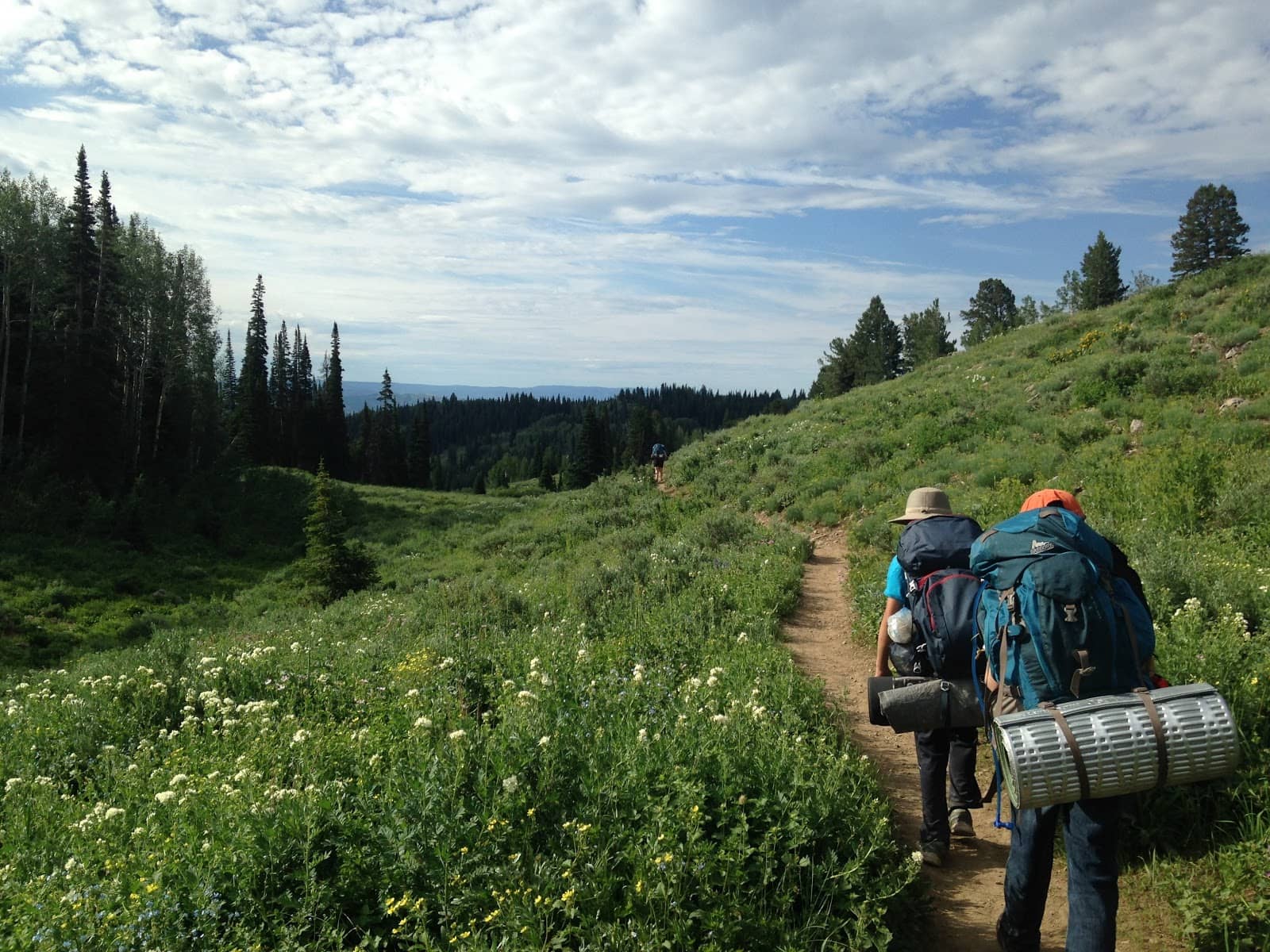 Canyon Trail Exploration