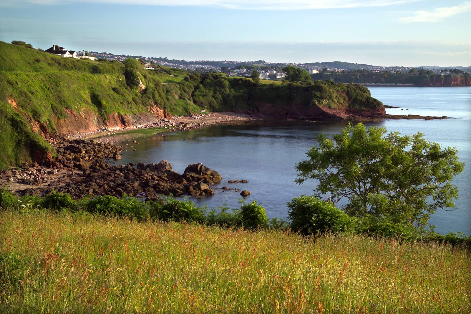 Fossil Hunting Opportunities