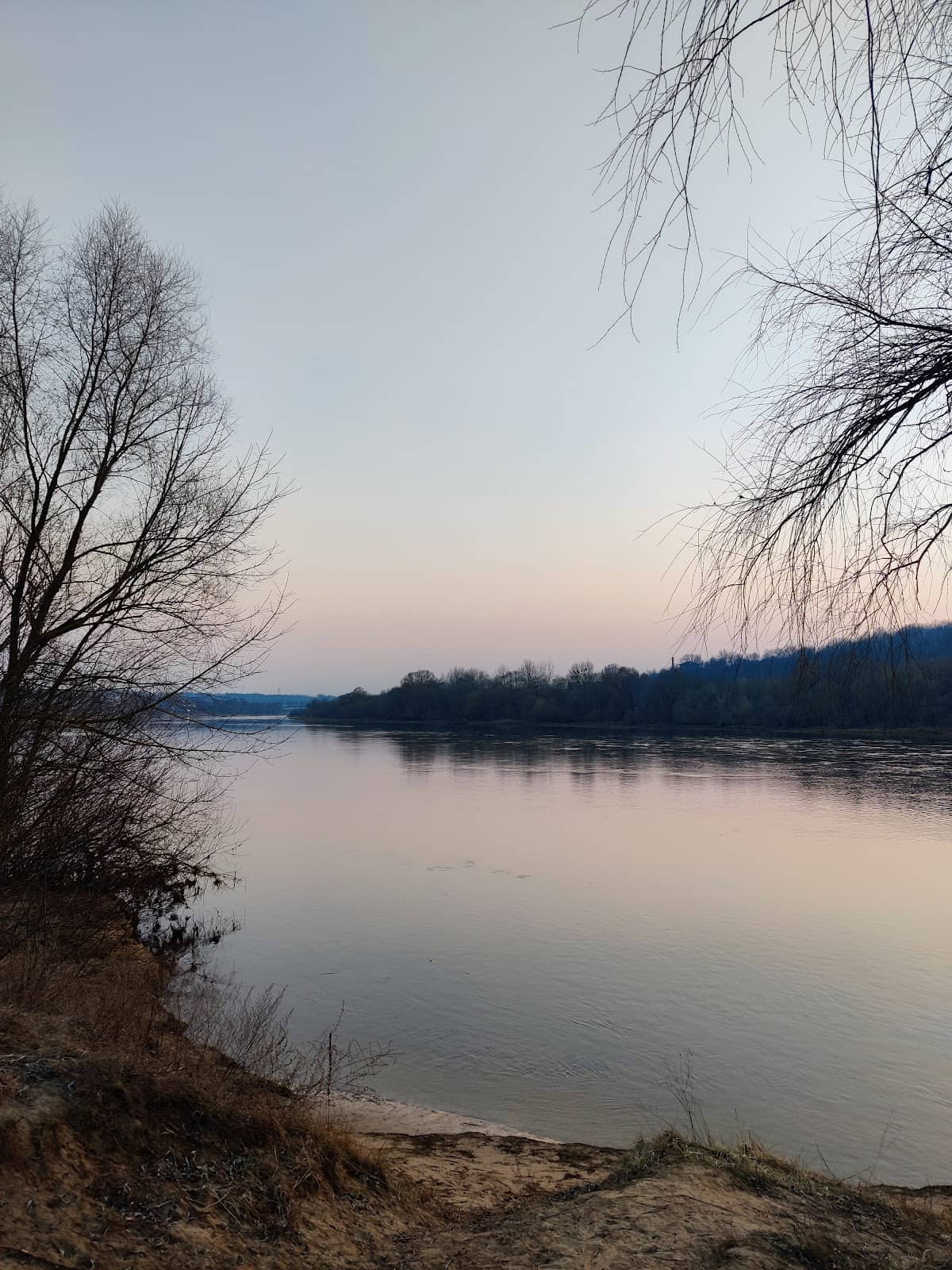 Local Cafes and Bakeries