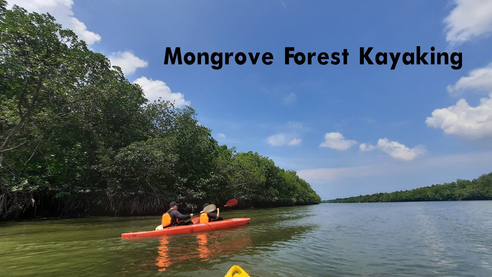 Sepang Mangrove River - Image 1