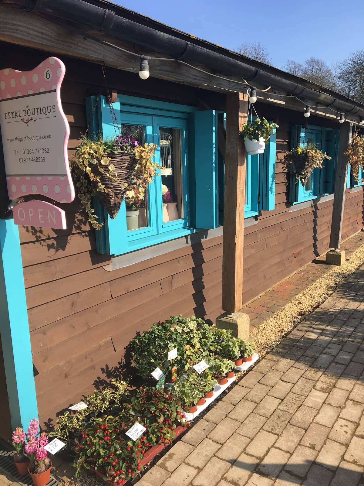 Eve's Garden Studio & Birdtree Designs