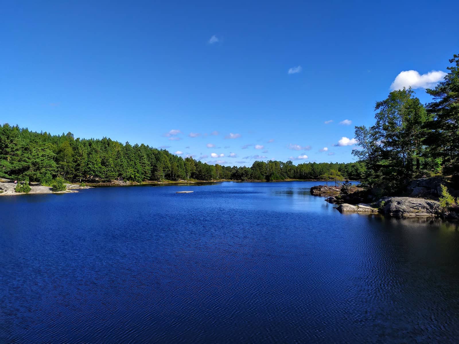 Scenic Hiking Trails