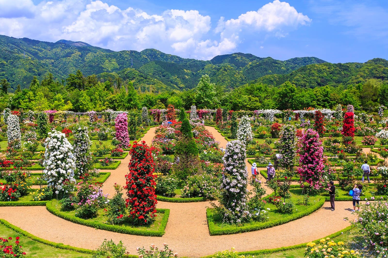 Kawazu Bagatelle Park (Rose Garden) - Image 1