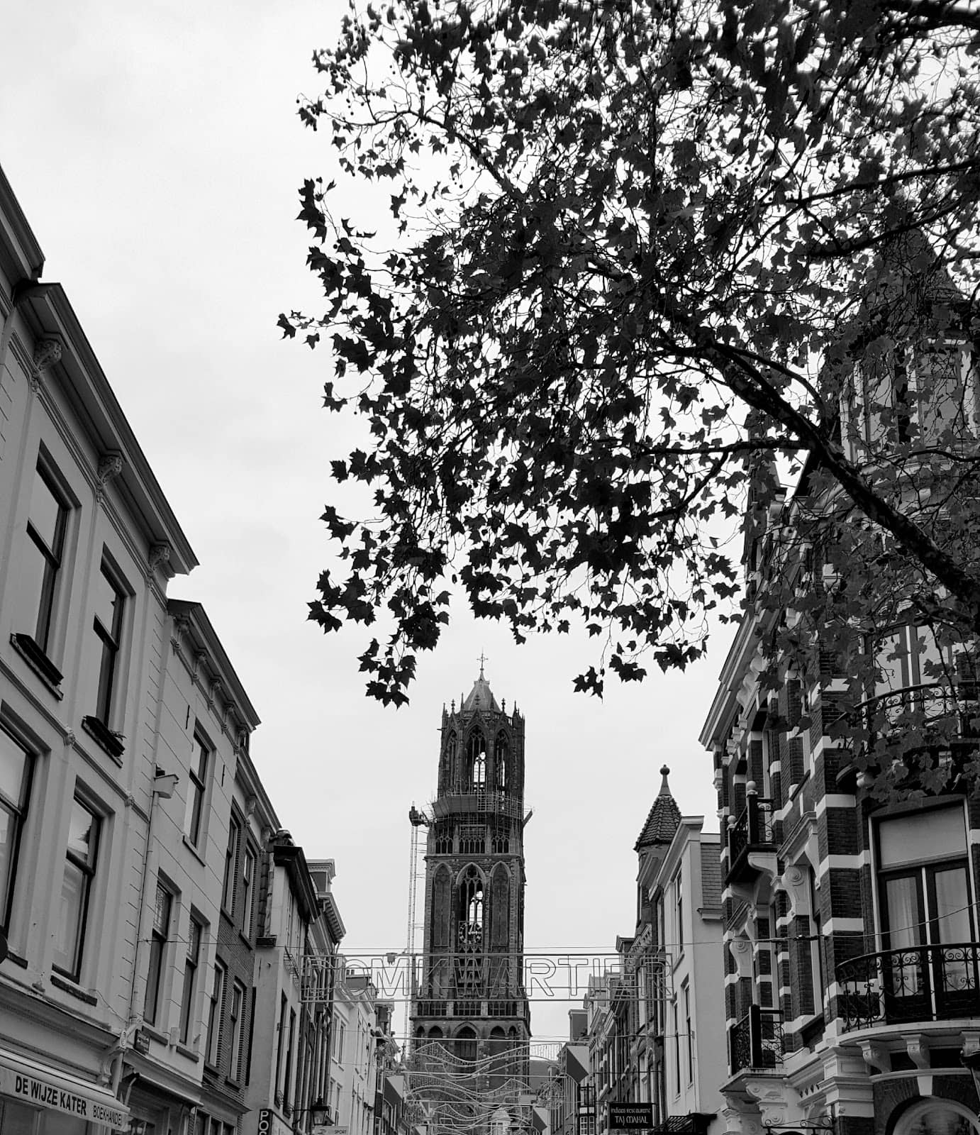 Vertical photo