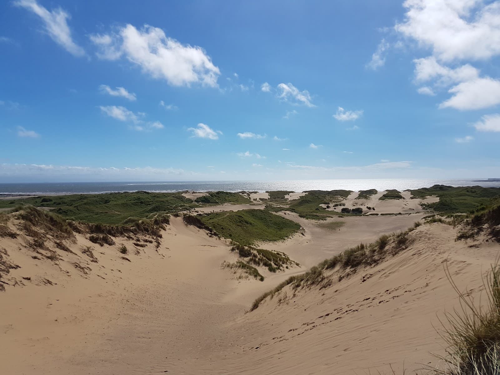 Merthyr Mawr Sand Dunes - Image 1