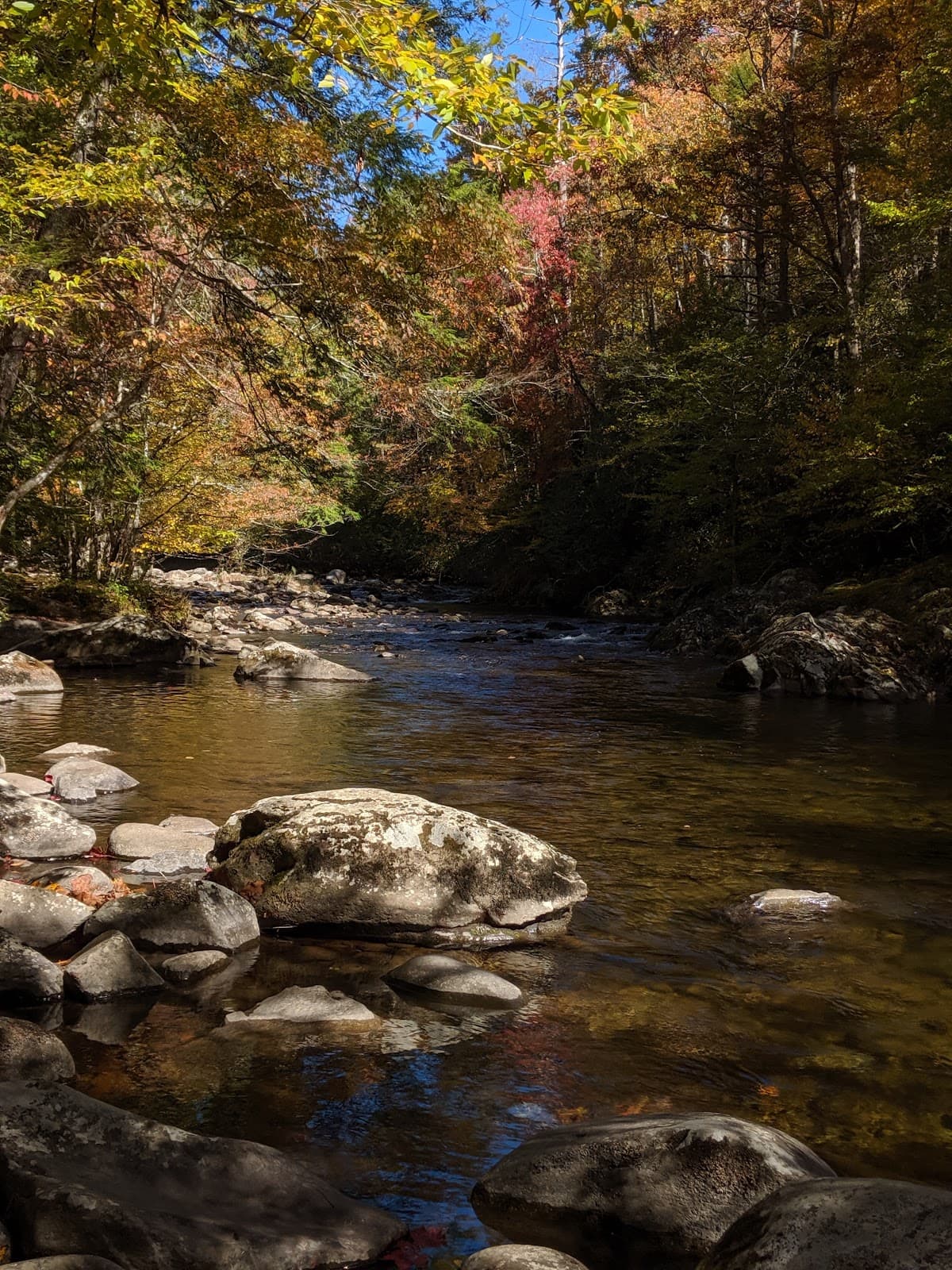 Little River Road Scenic Drive - Image 1