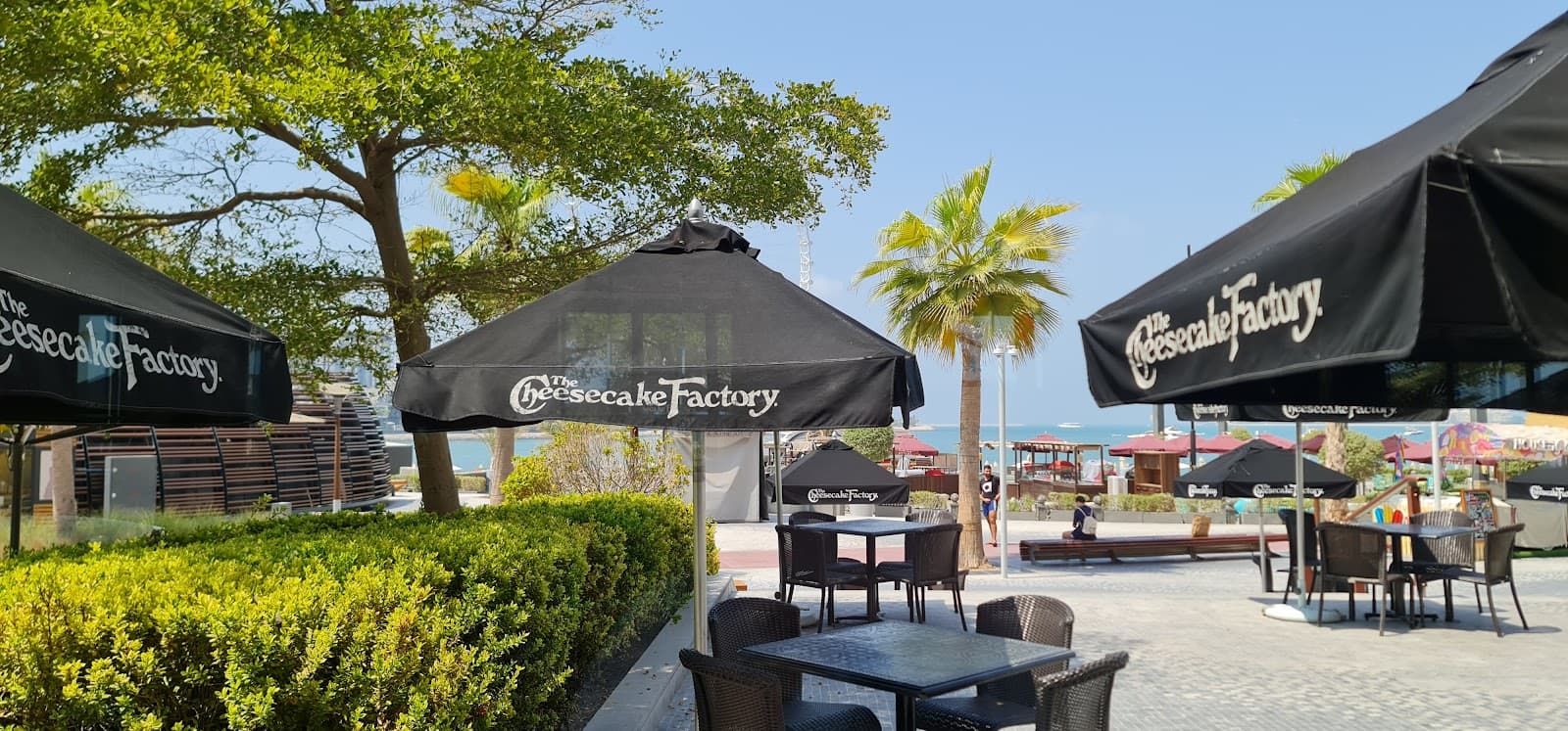 The Cheesecake Factory - Image 1