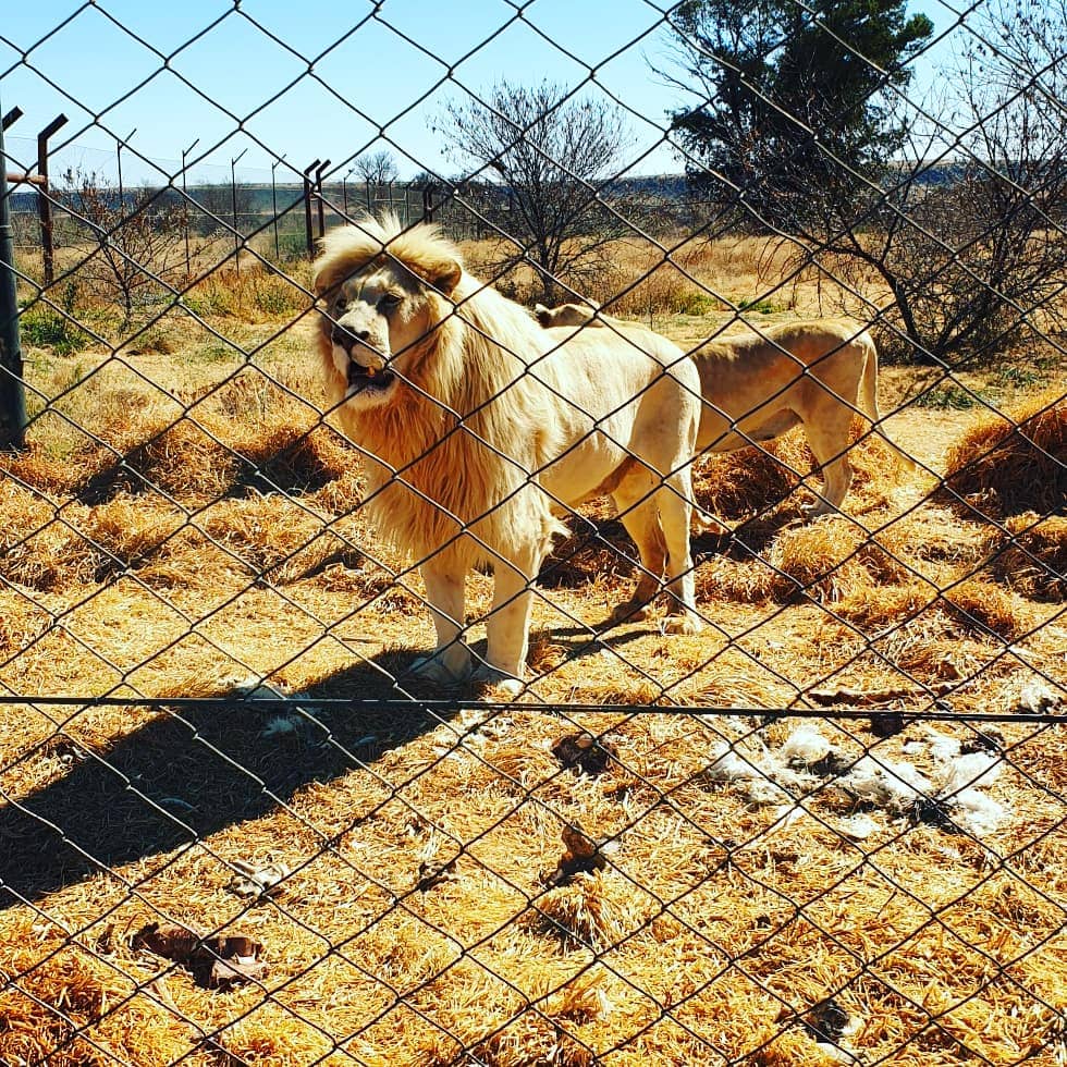 Private Tour with Owner