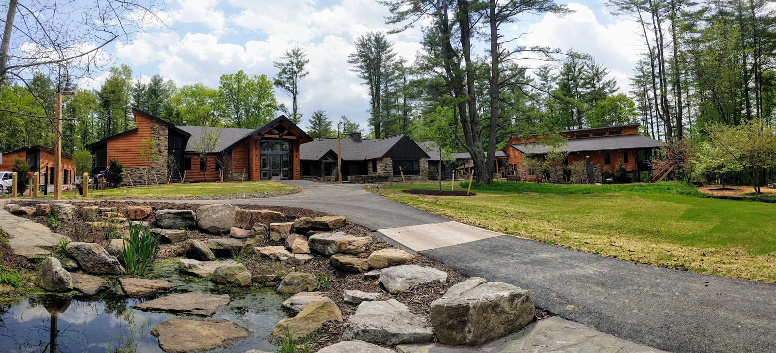 Bird Feeding Demonstrations