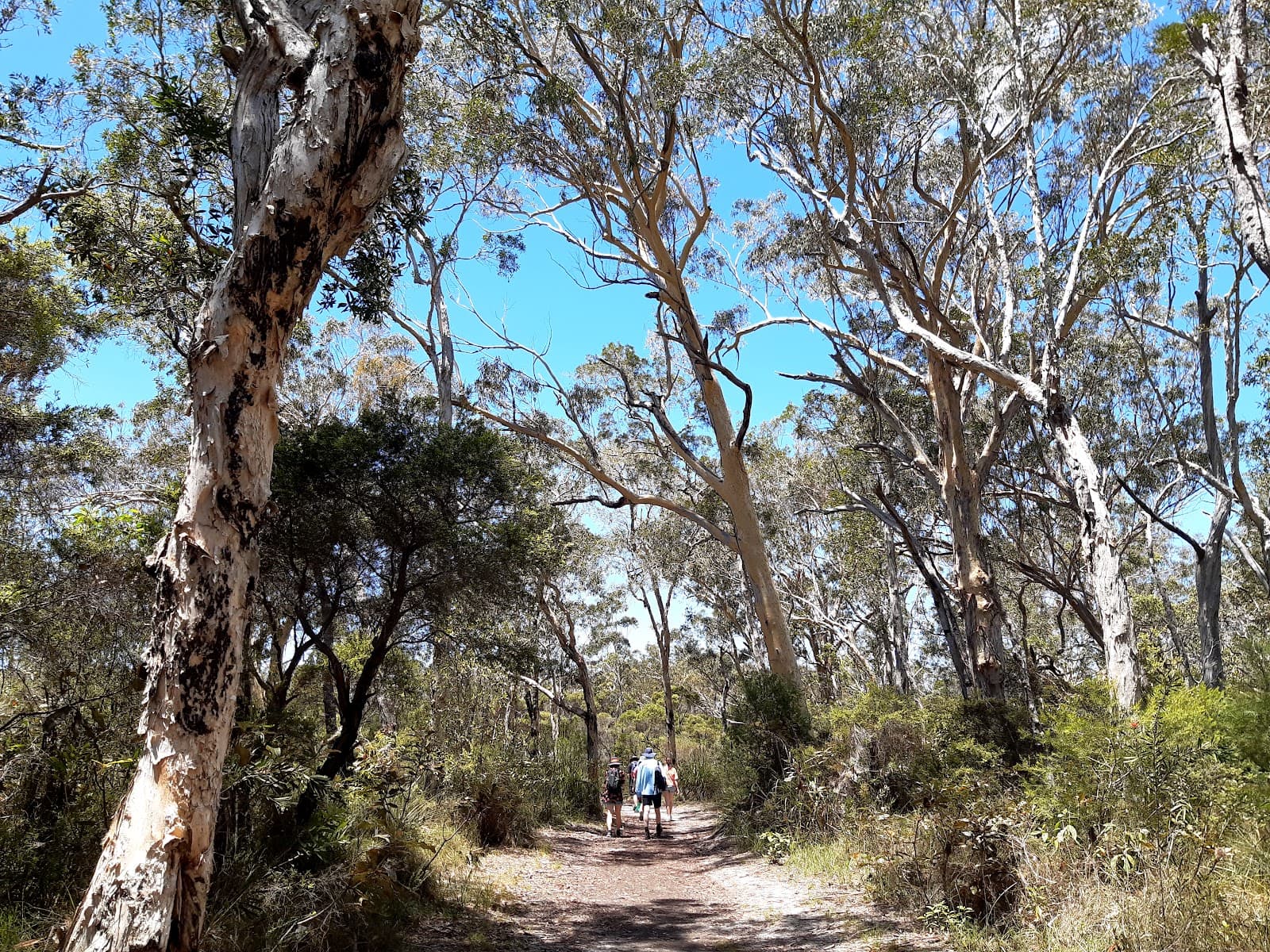 Mooloolah River National Park - Image 1